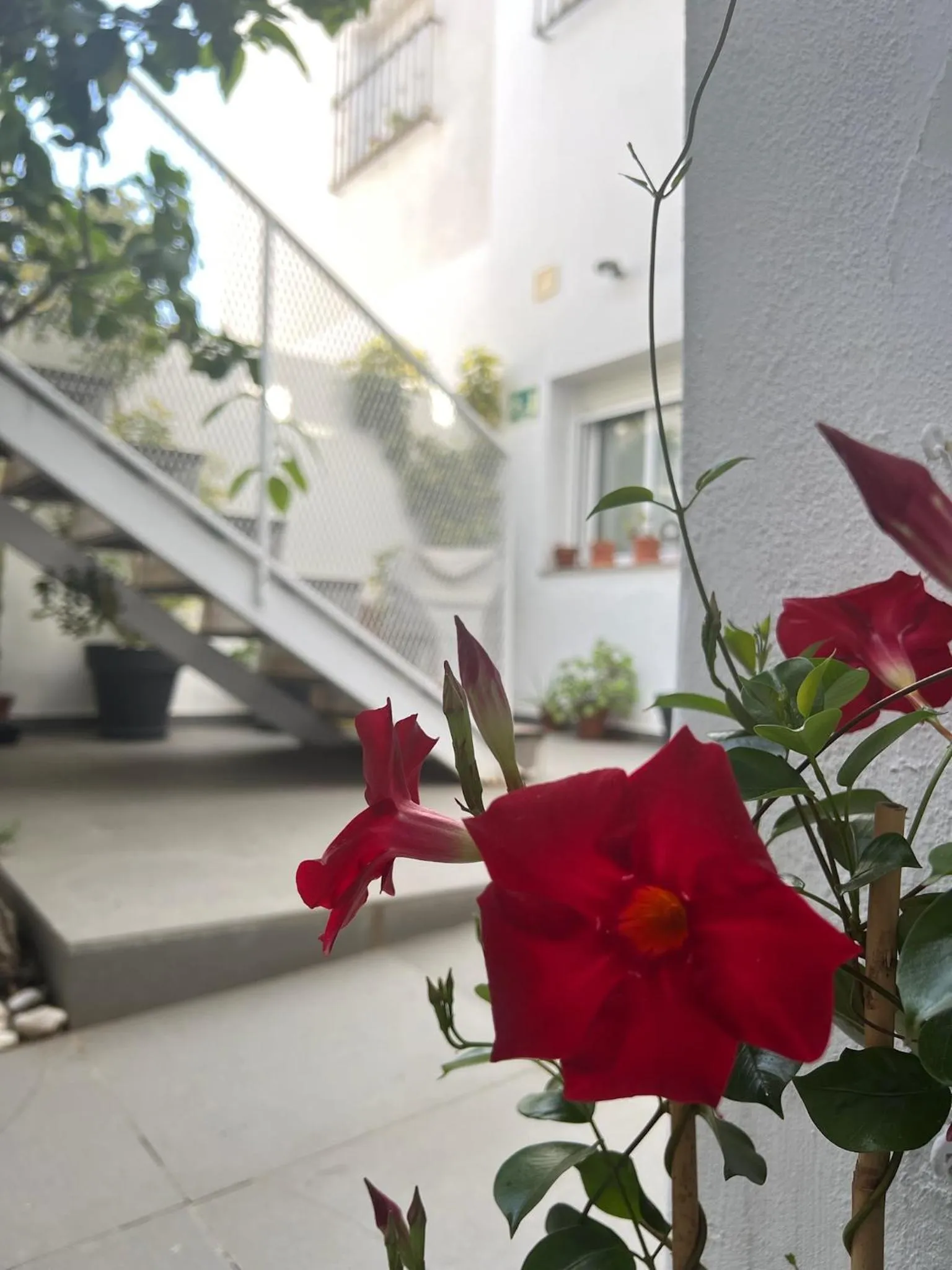 Day in Chipibeach B&B, Hostal Boutique