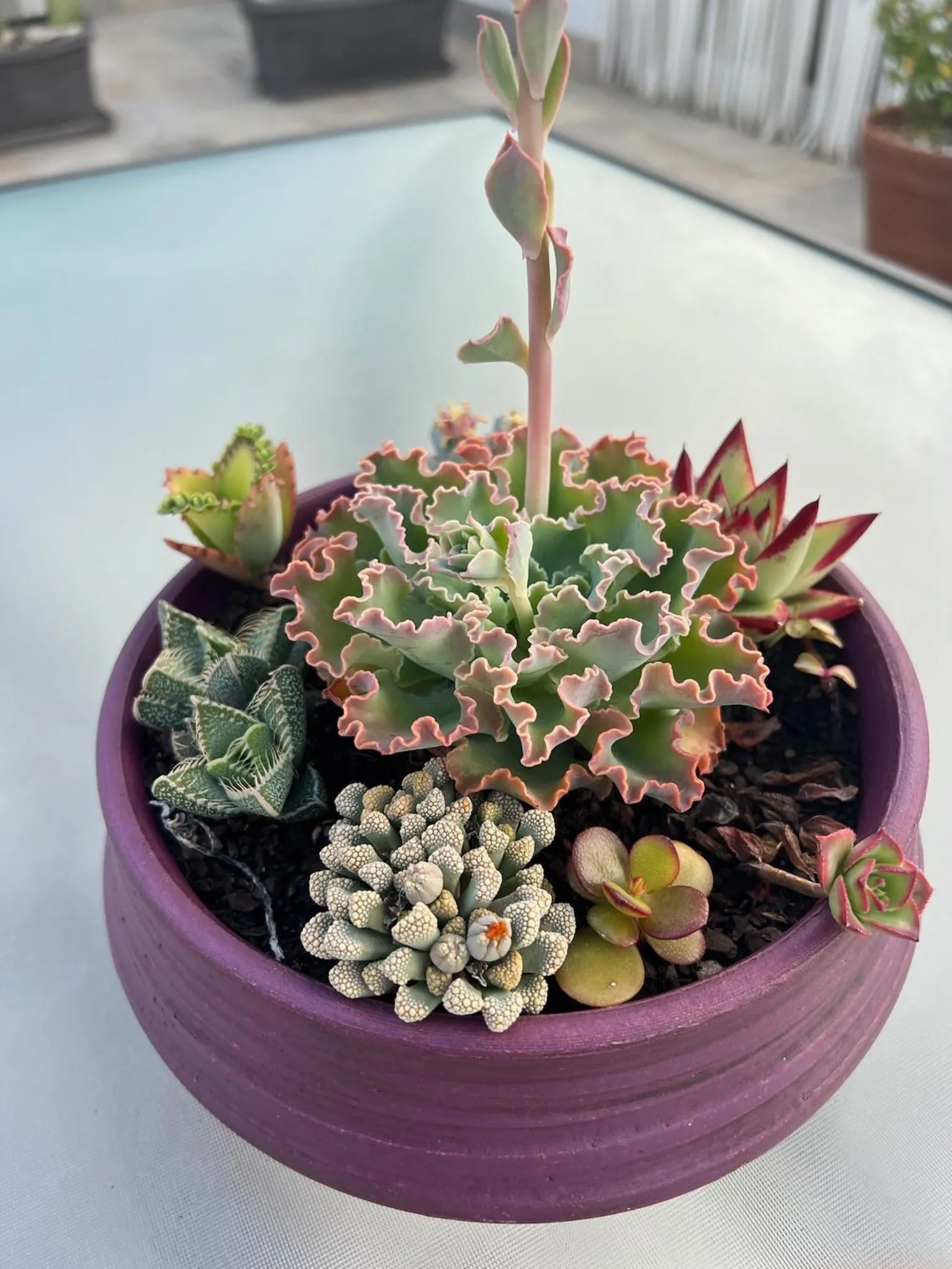 Property building in Chipibeach B&B, Hostal Boutique