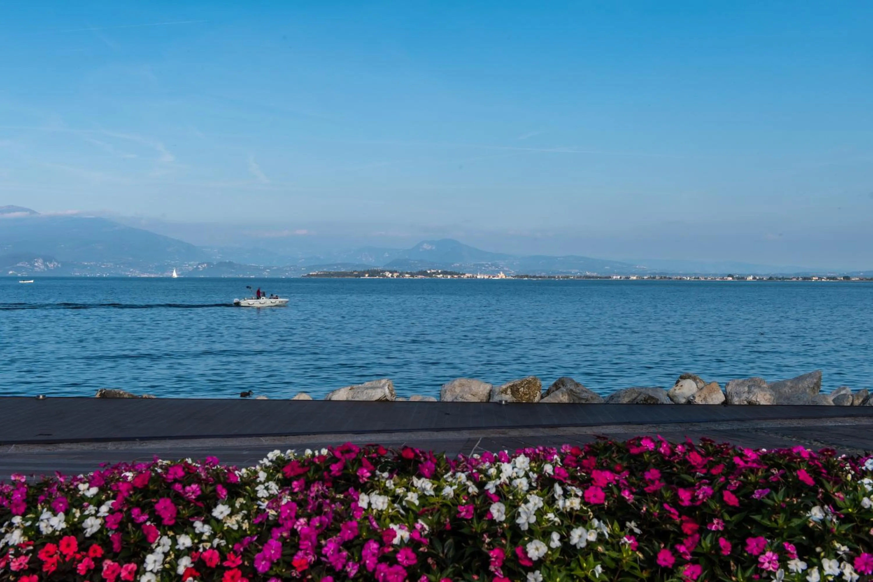 Spring in Flowers Apartments