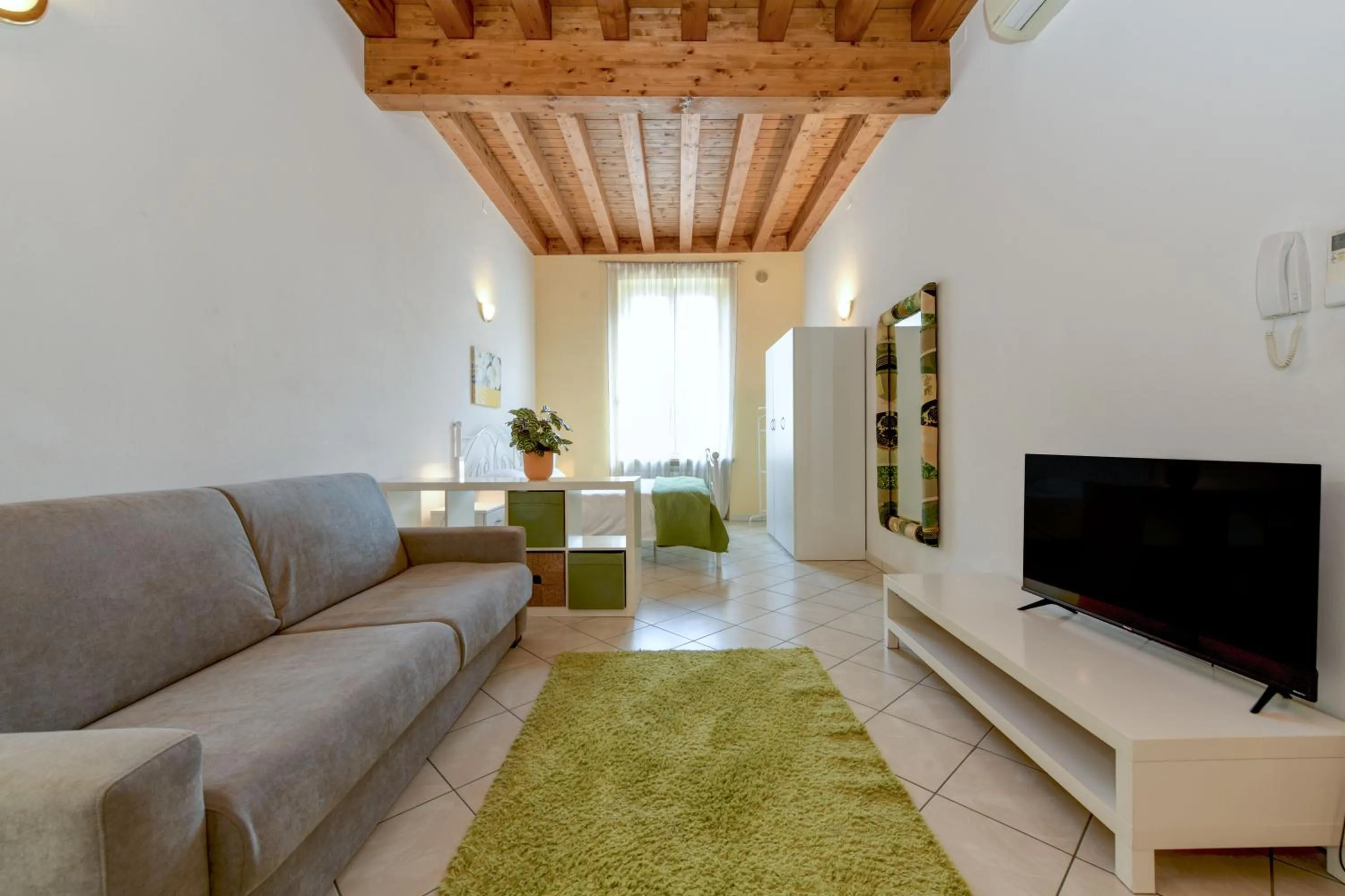 TV and multimedia in Flowers Apartments