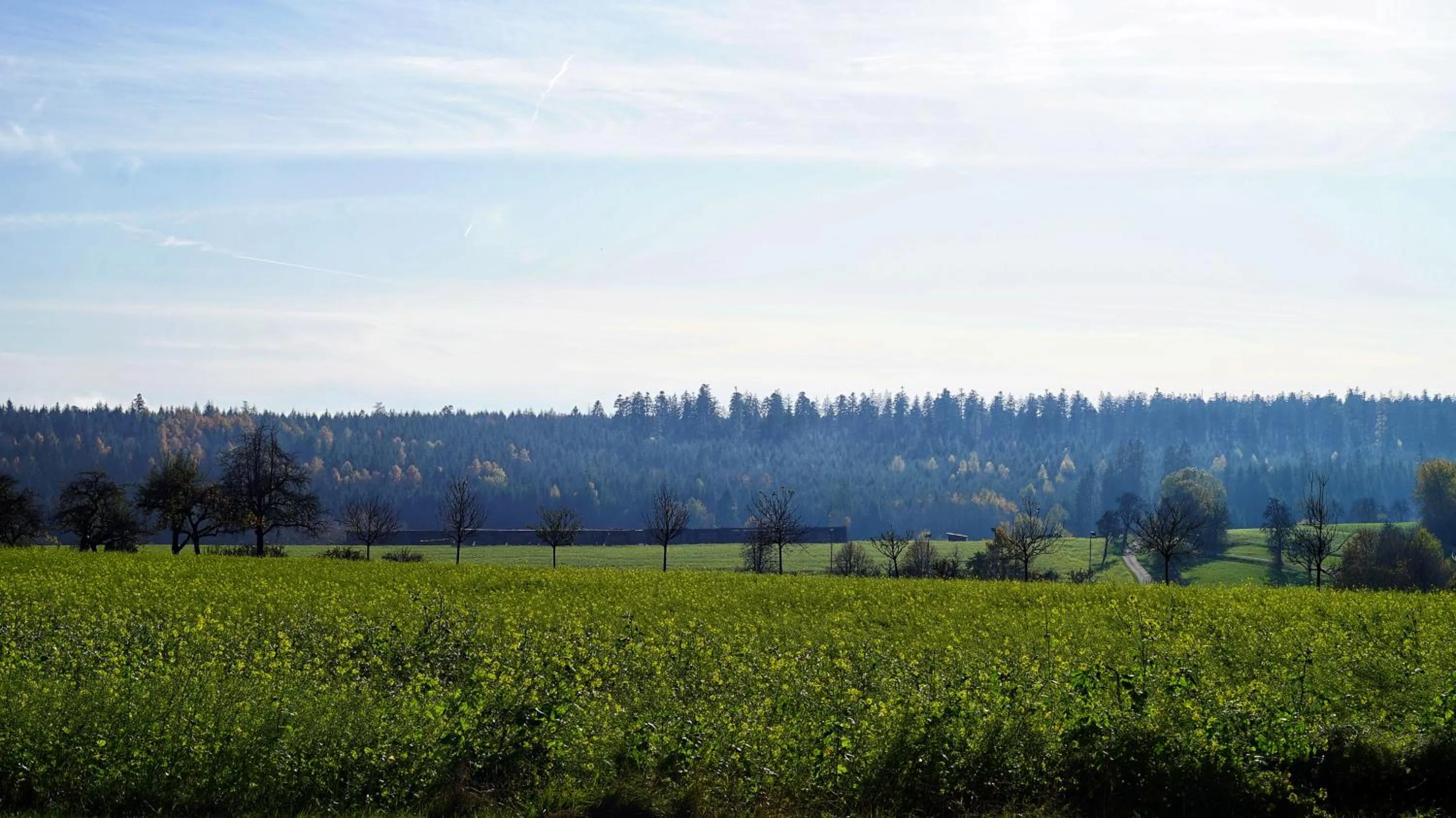 Natural landscape in Hotel Restaurant Sonnenschein