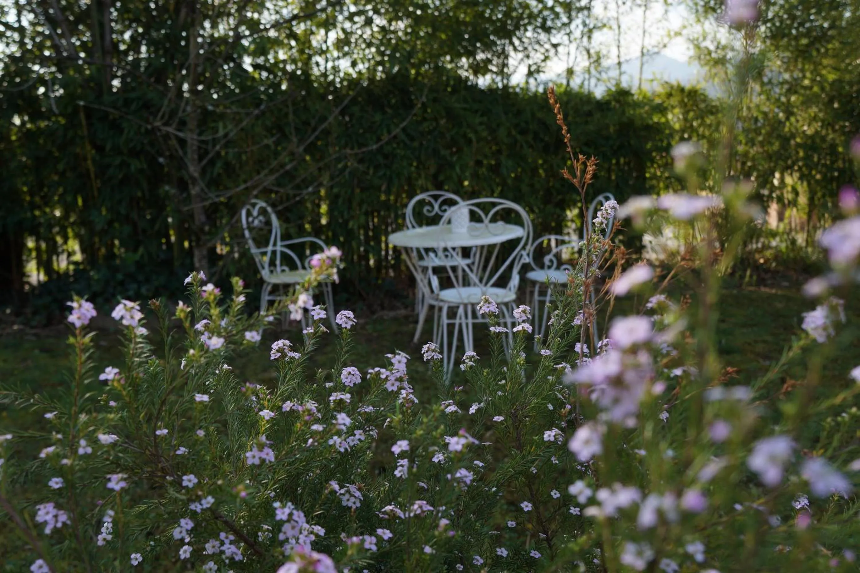 Off site in Agroturismo Ibarra