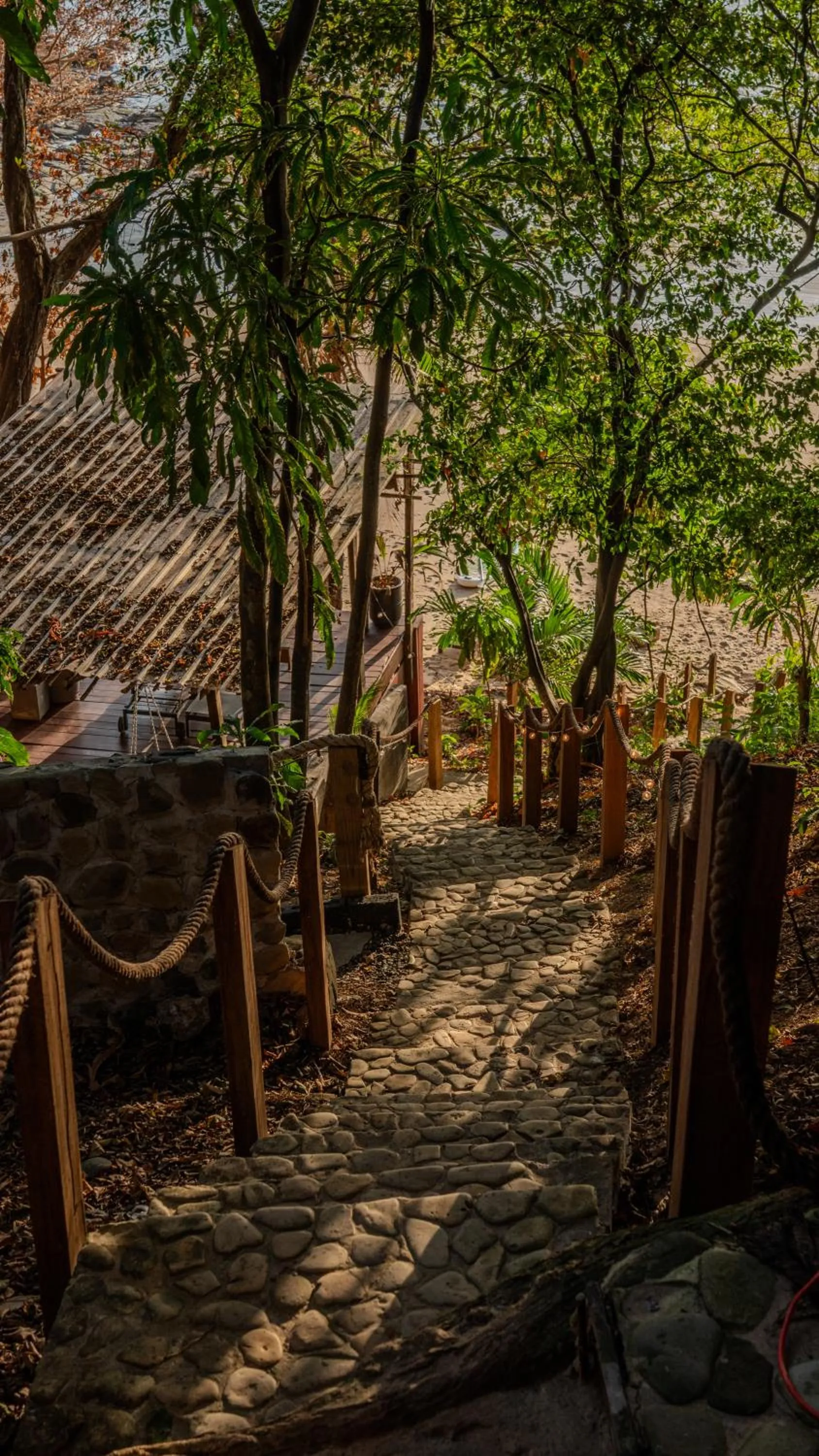 Natural landscape in Saboga Lodge