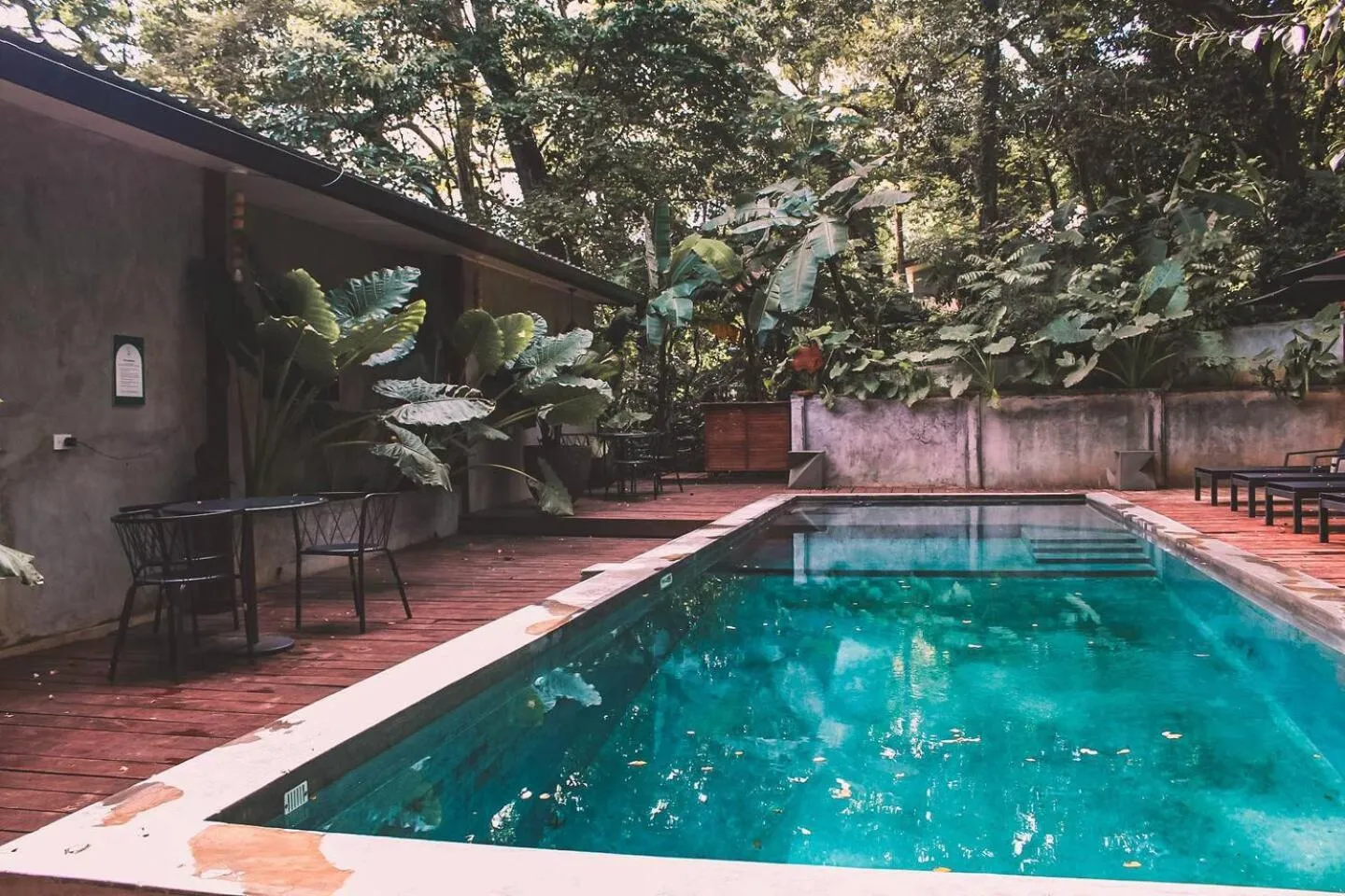 Swimming pool in Saboga Lodge