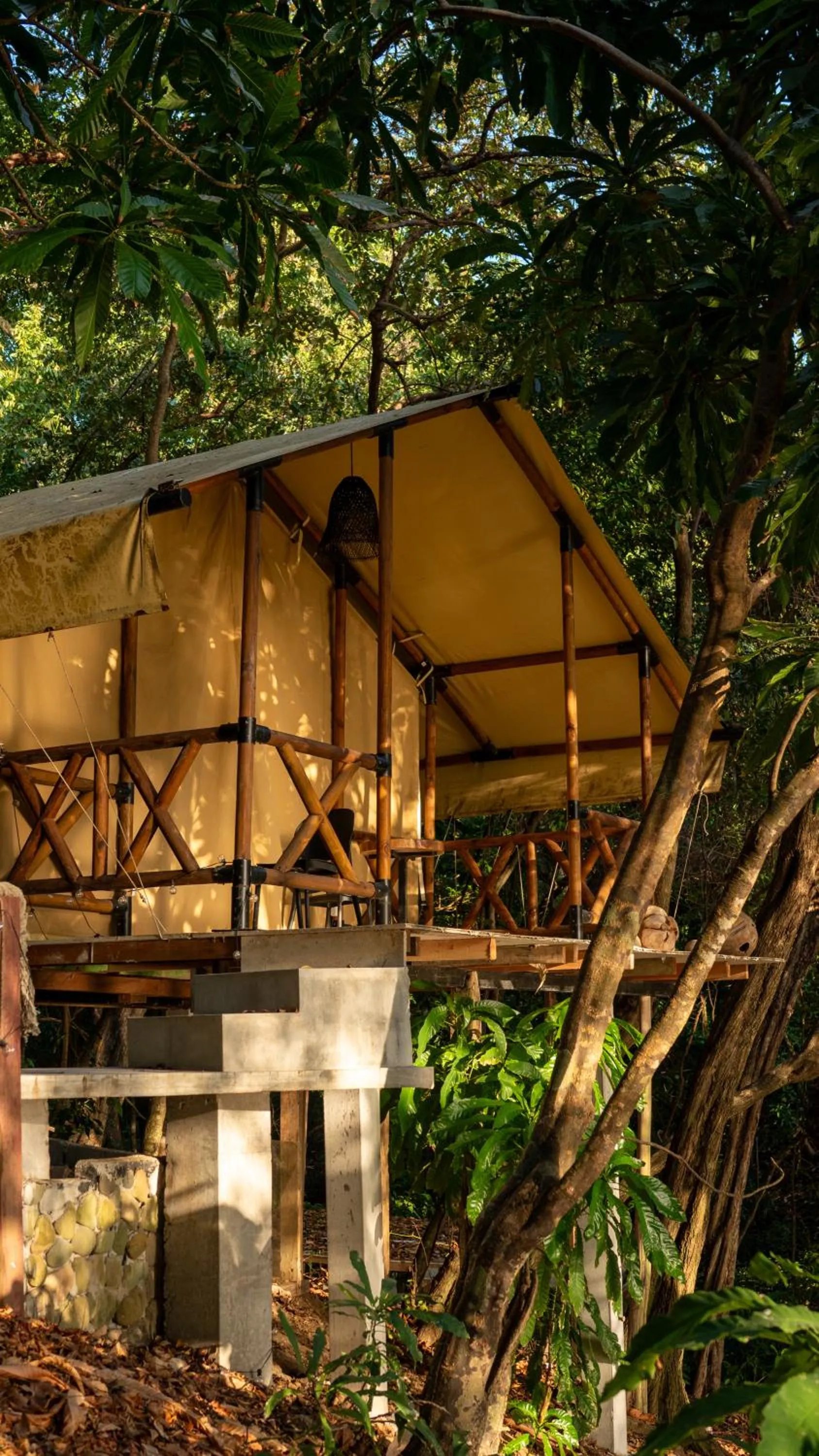 Natural landscape in Saboga Lodge