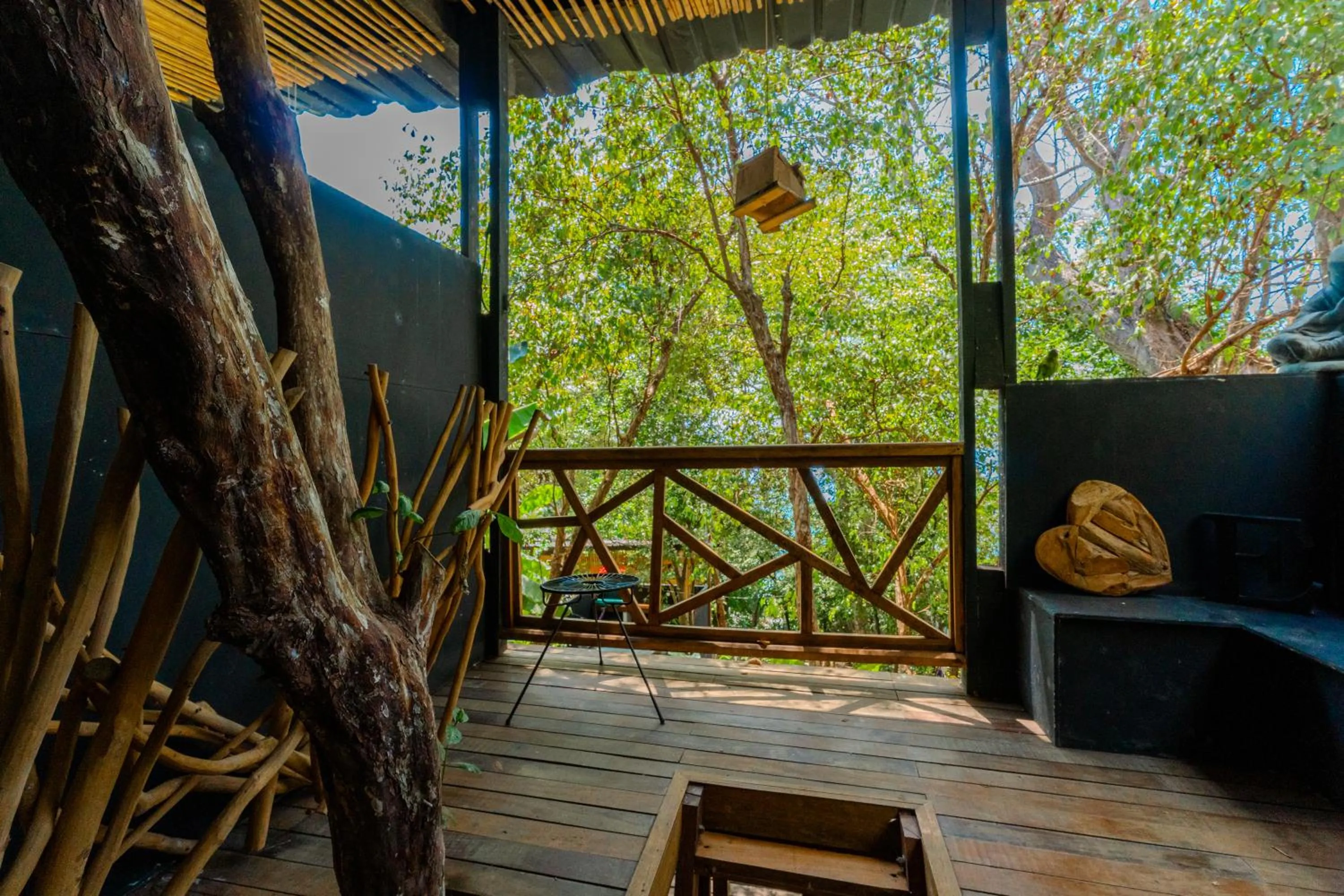 Garden view in Saboga Lodge