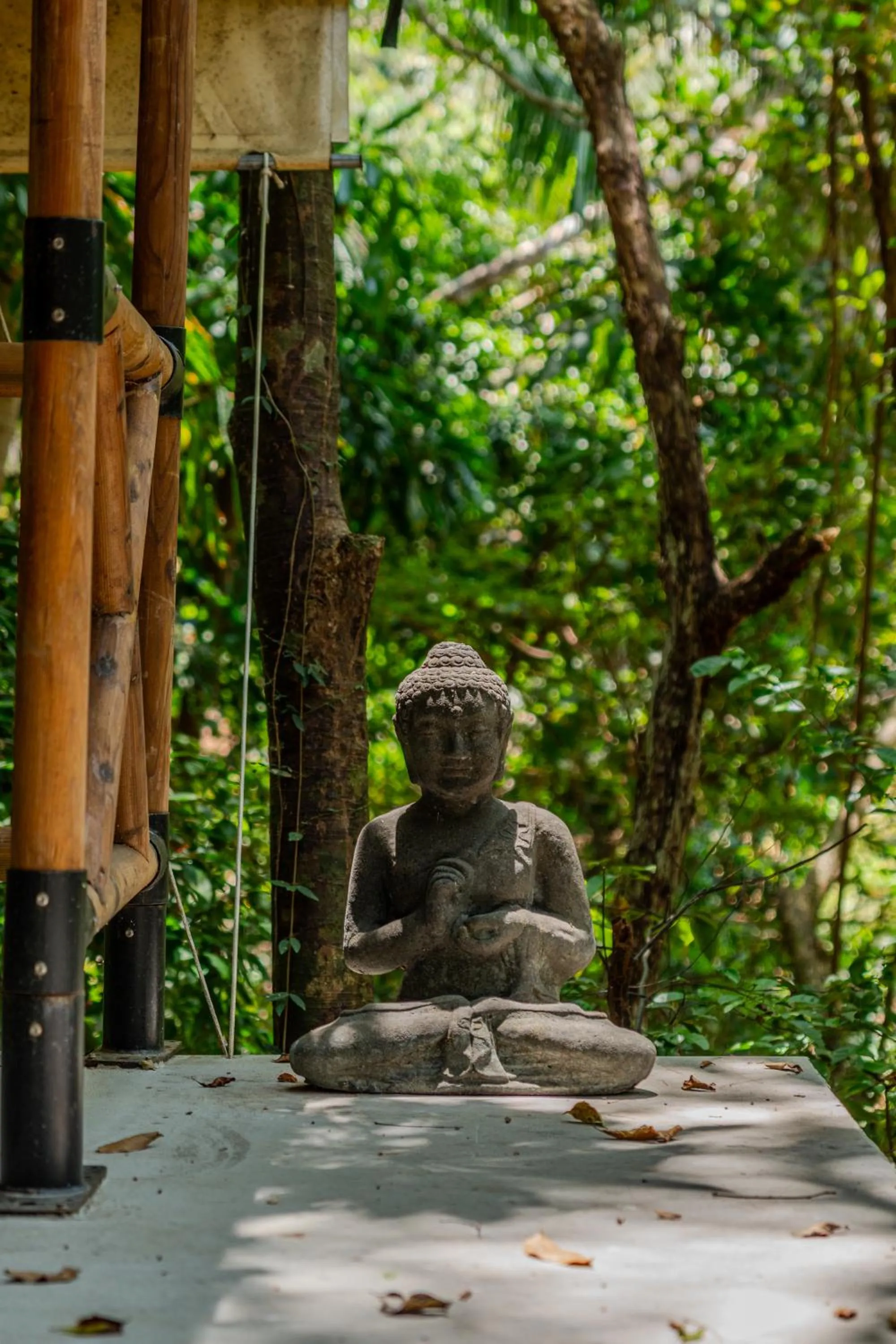 Natural landscape in Saboga Lodge