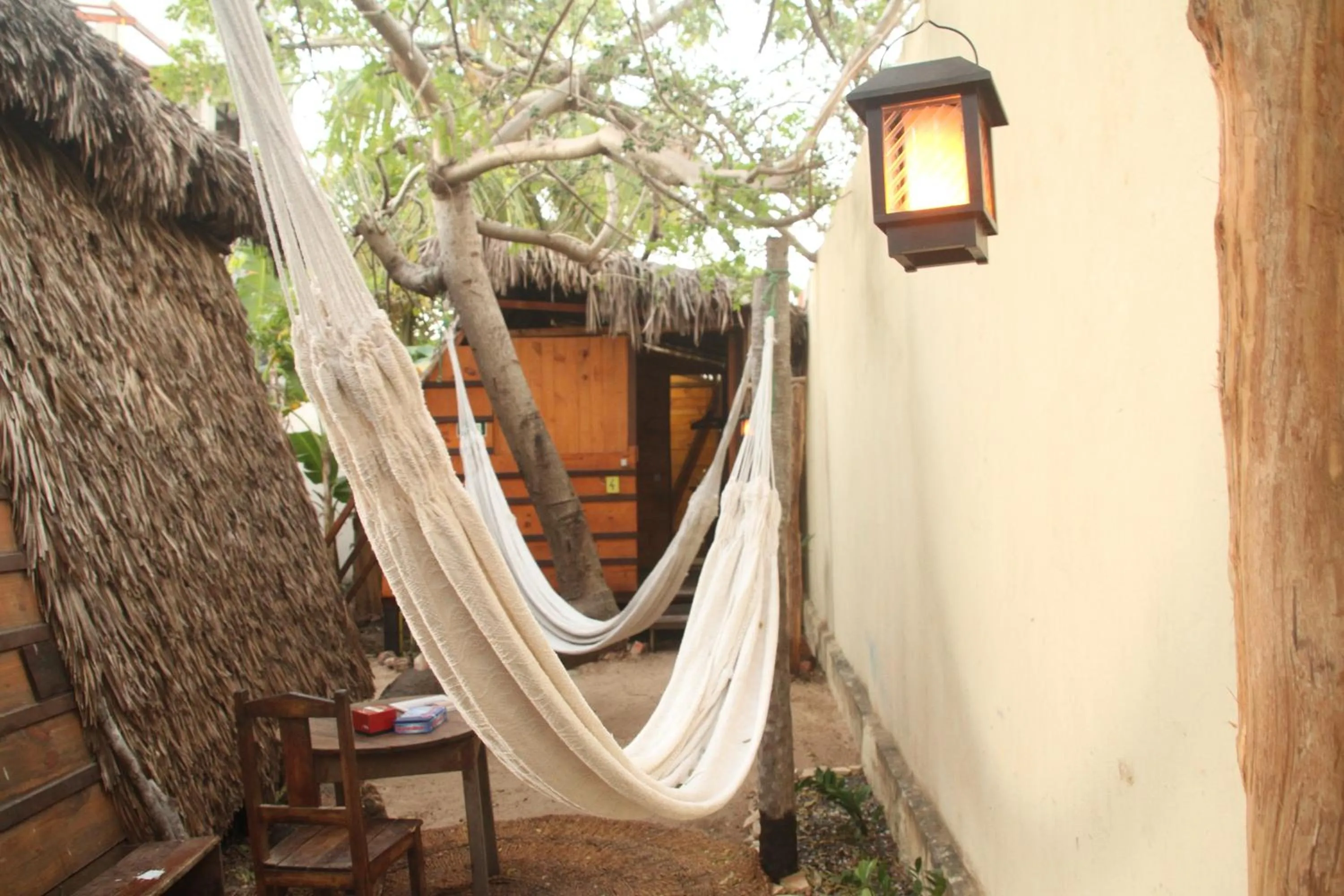 Raiz Hostel