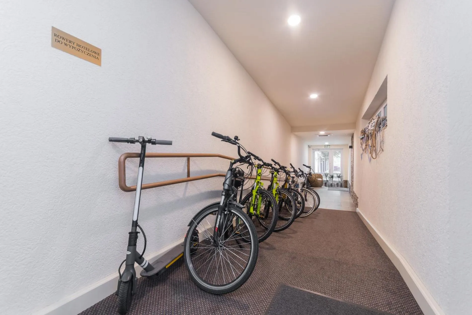 Windsurfing in Hotel Kahlberg