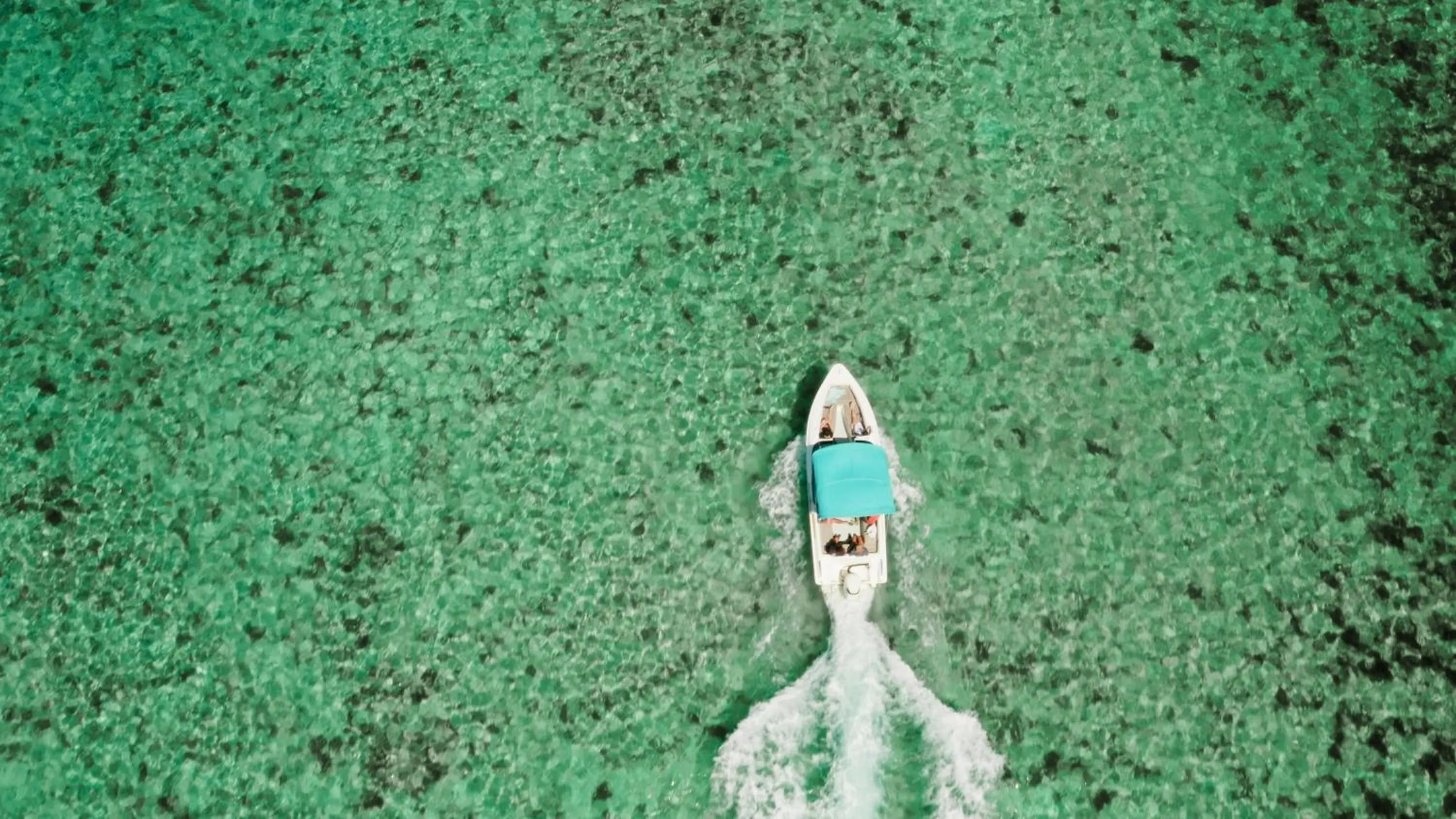 Beach in Anahita Golf & Spa Resort