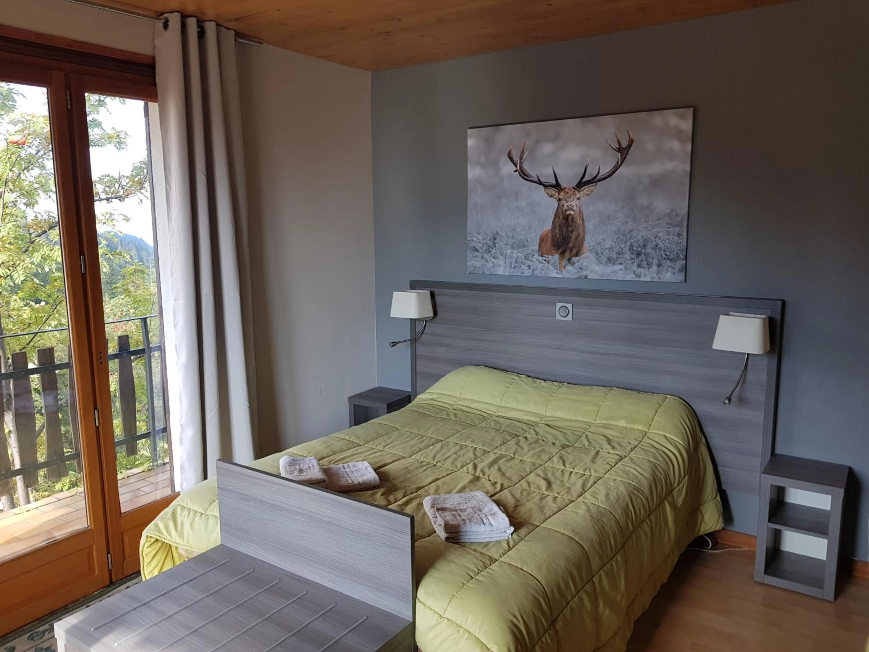 Photo of the whole room, Bed in Hôtel Les Chamois