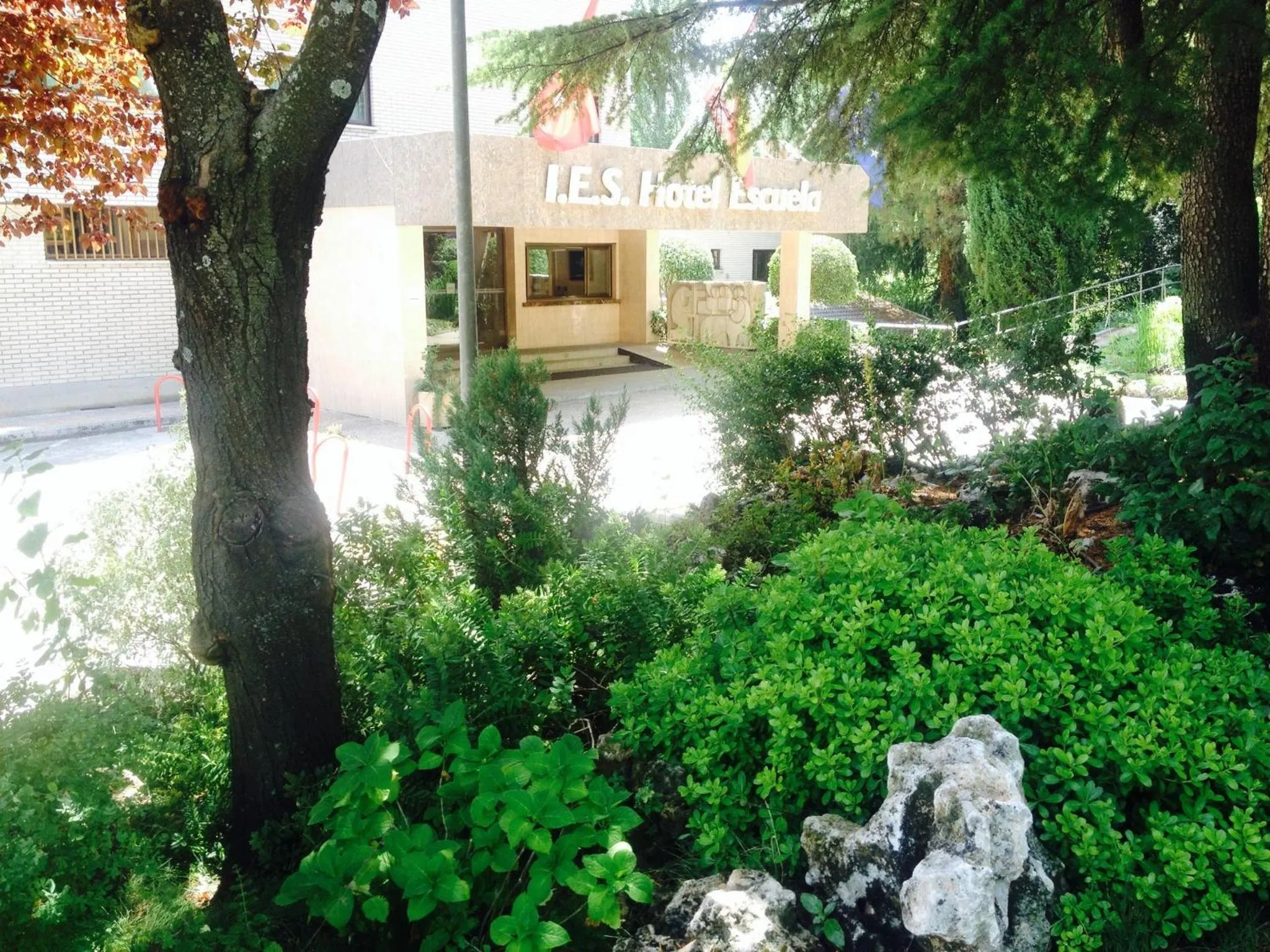 Garden in Hotel Escuela Madrid