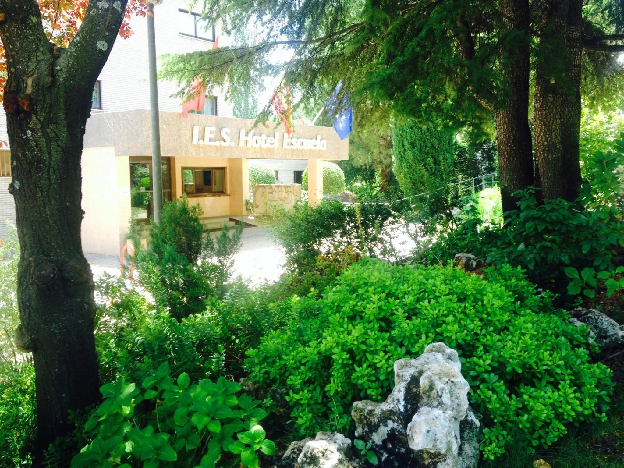 Area and facilities in Hotel Escuela Madrid