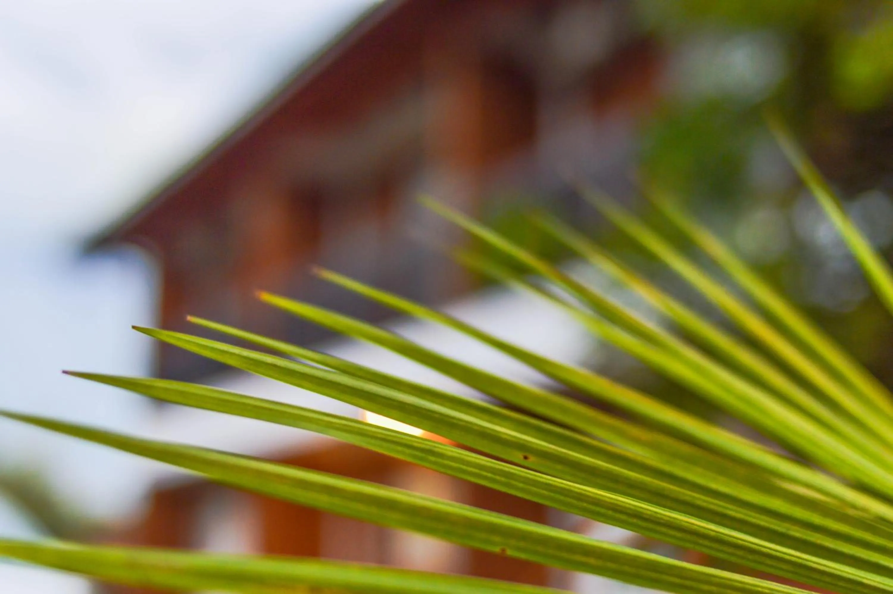 Property building in Managua Apart Hotel