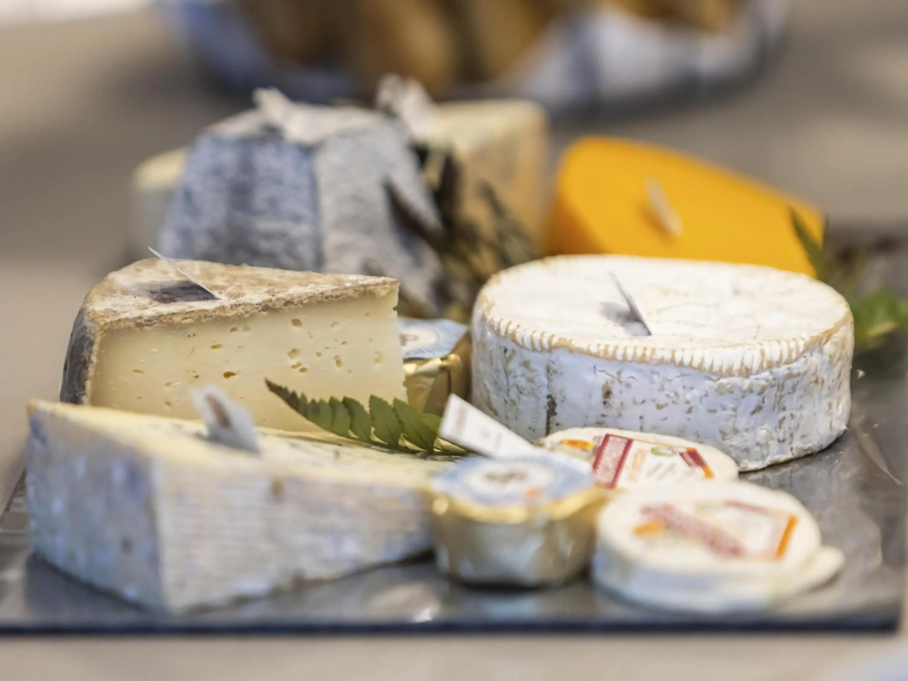 Lounge or bar in Mercure Paris Massy Gare TGV