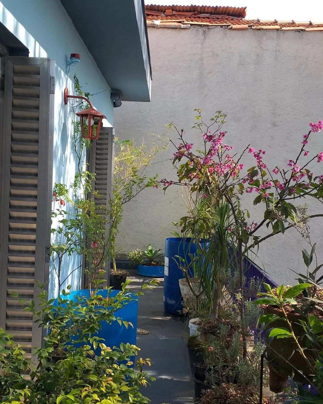 Micasa Hostel - Congonhas