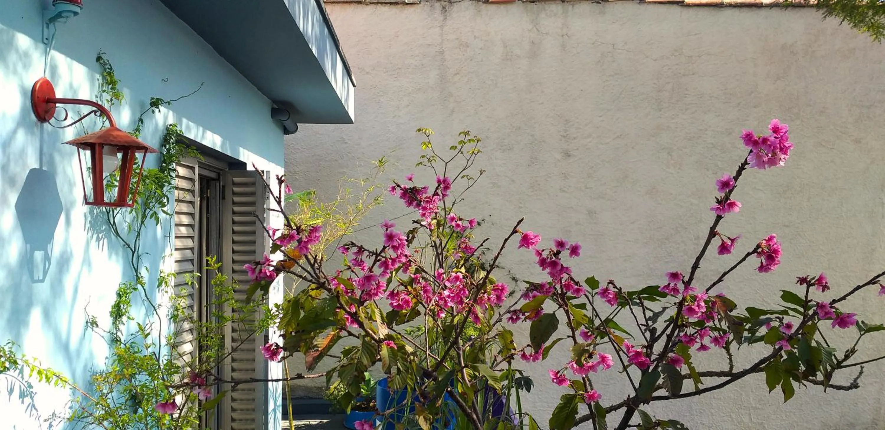 Micasa Hostel - Congonhas