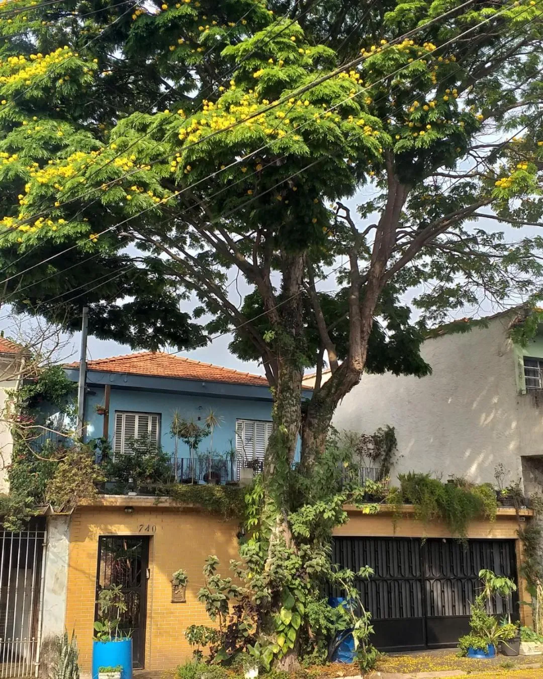 Micasa Hostel - Congonhas