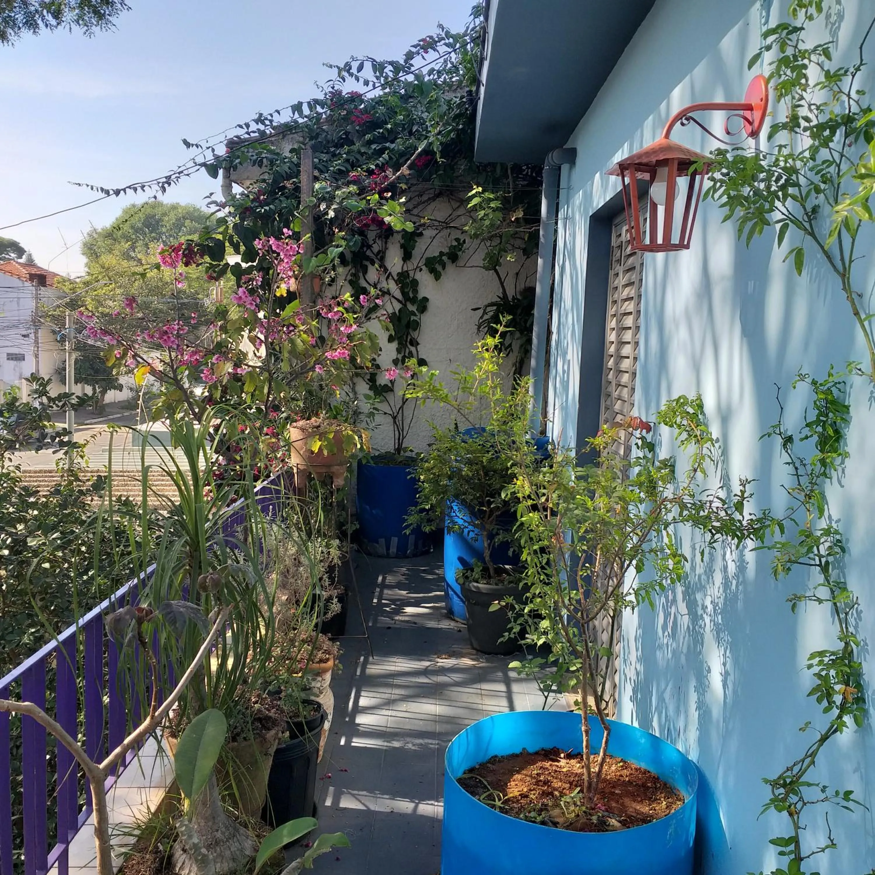 Micasa Hostel - Congonhas