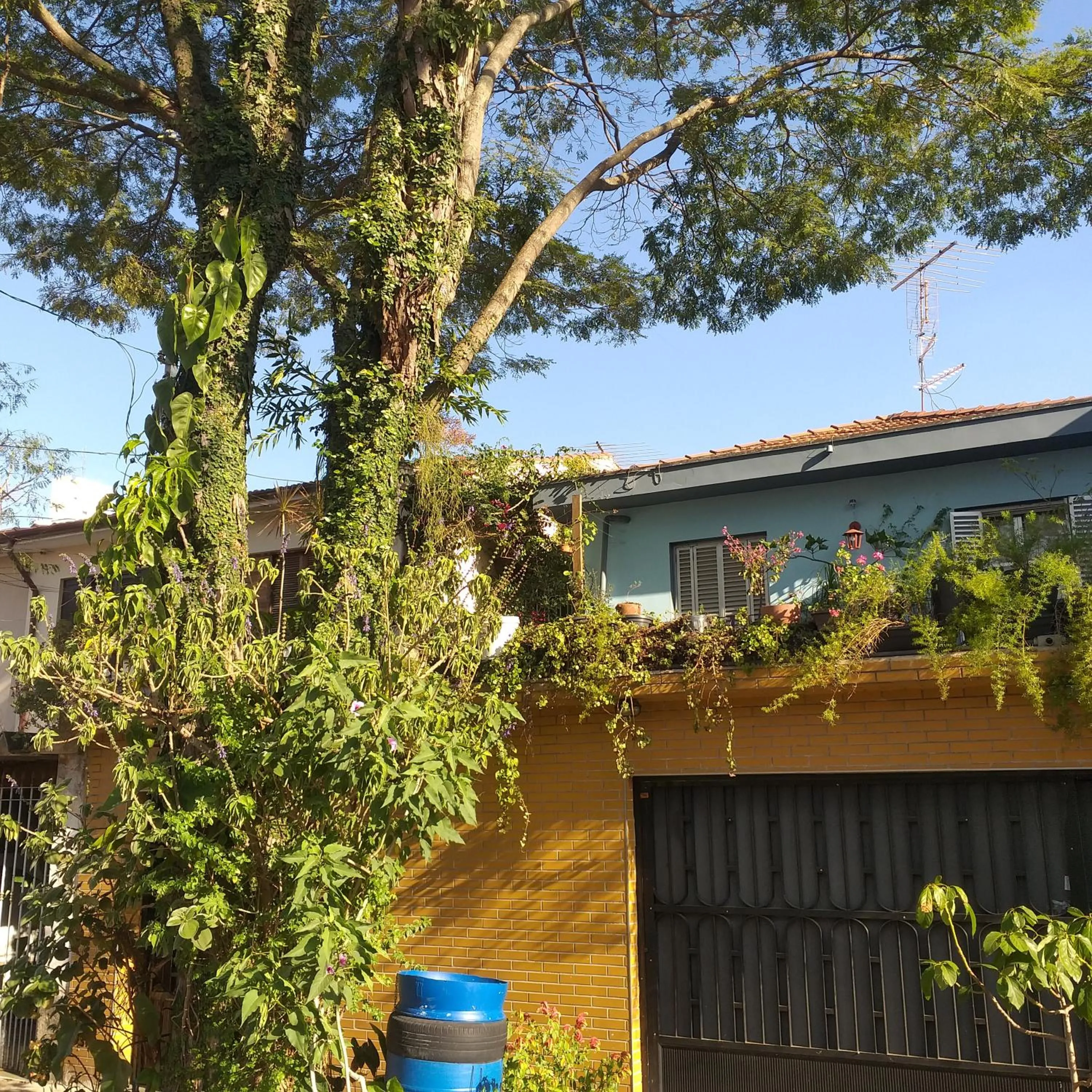 Micasa Hostel - Congonhas