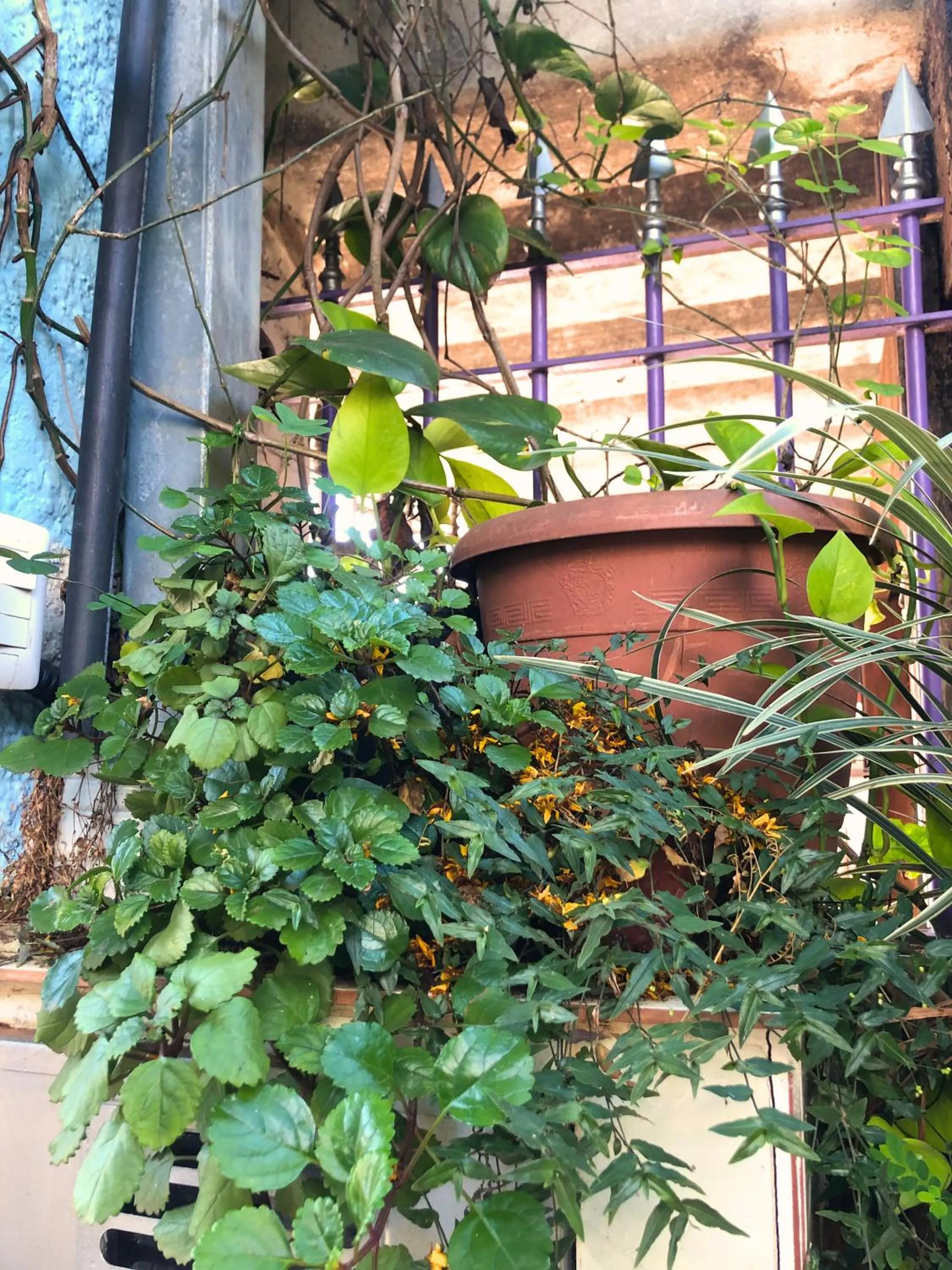 Micasa Hostel - Congonhas