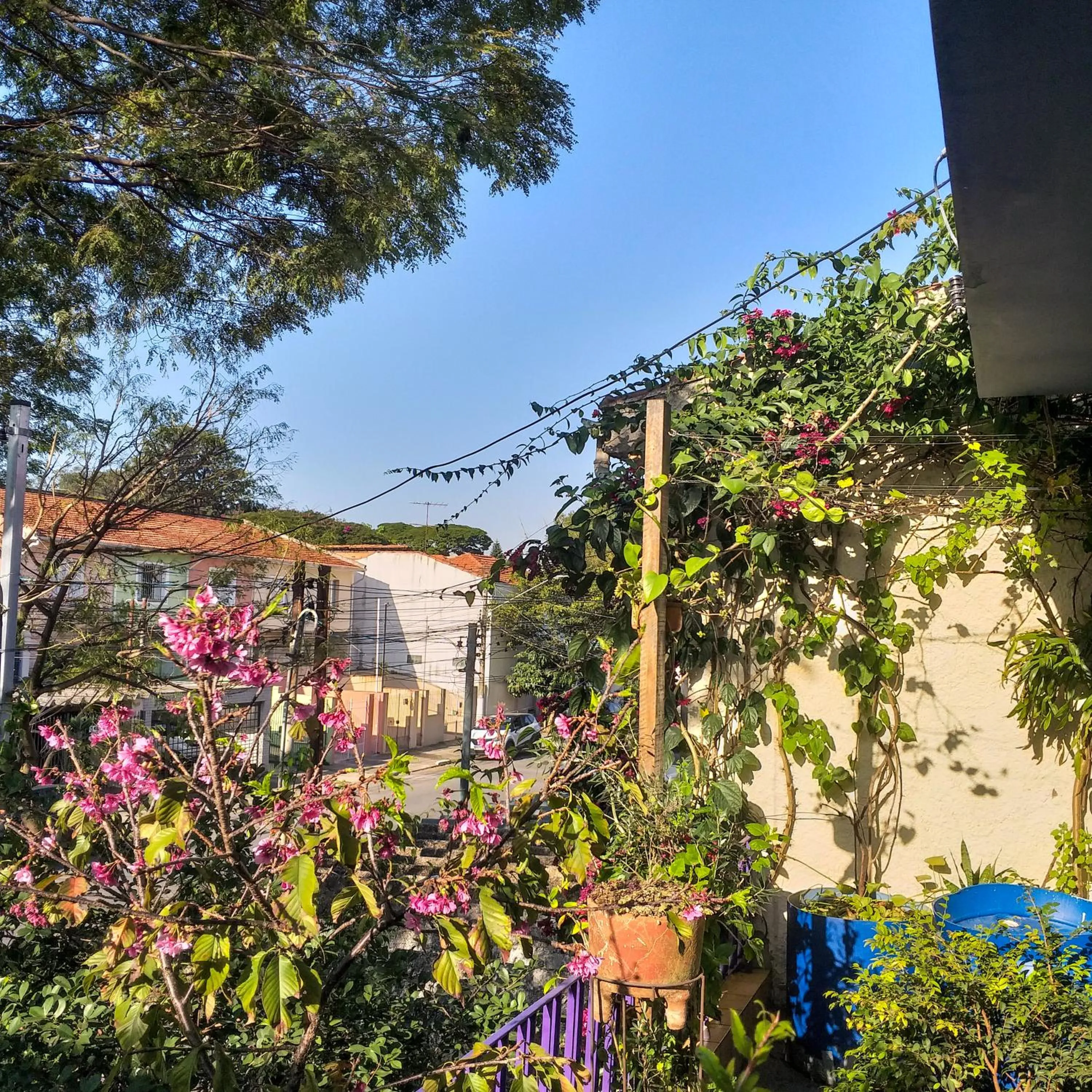 Micasa Hostel - Congonhas