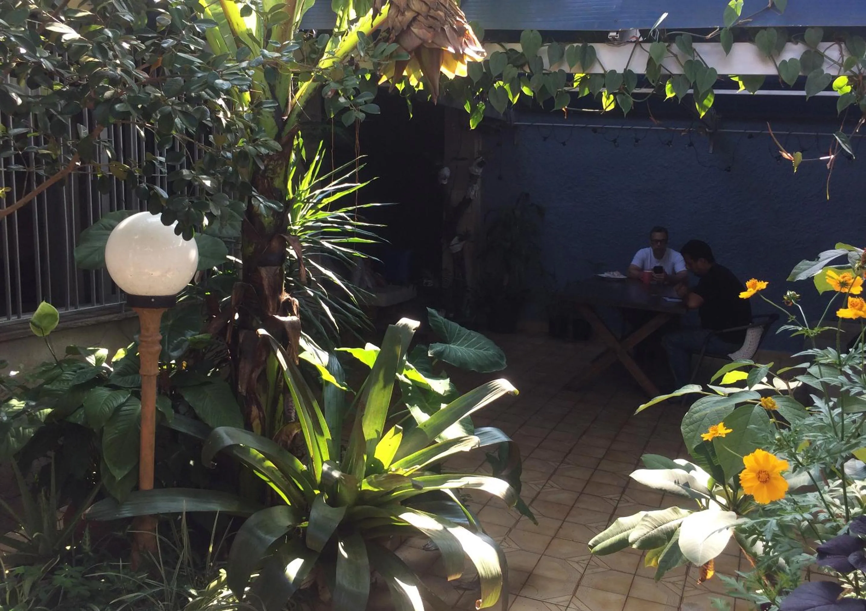 Garden in Micasa Hostel - Congonhas