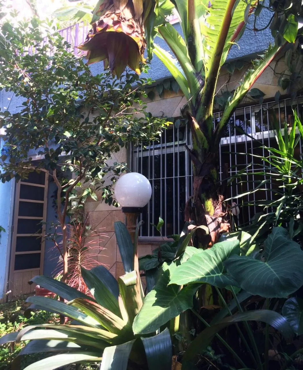 Garden in Micasa Hostel - Congonhas