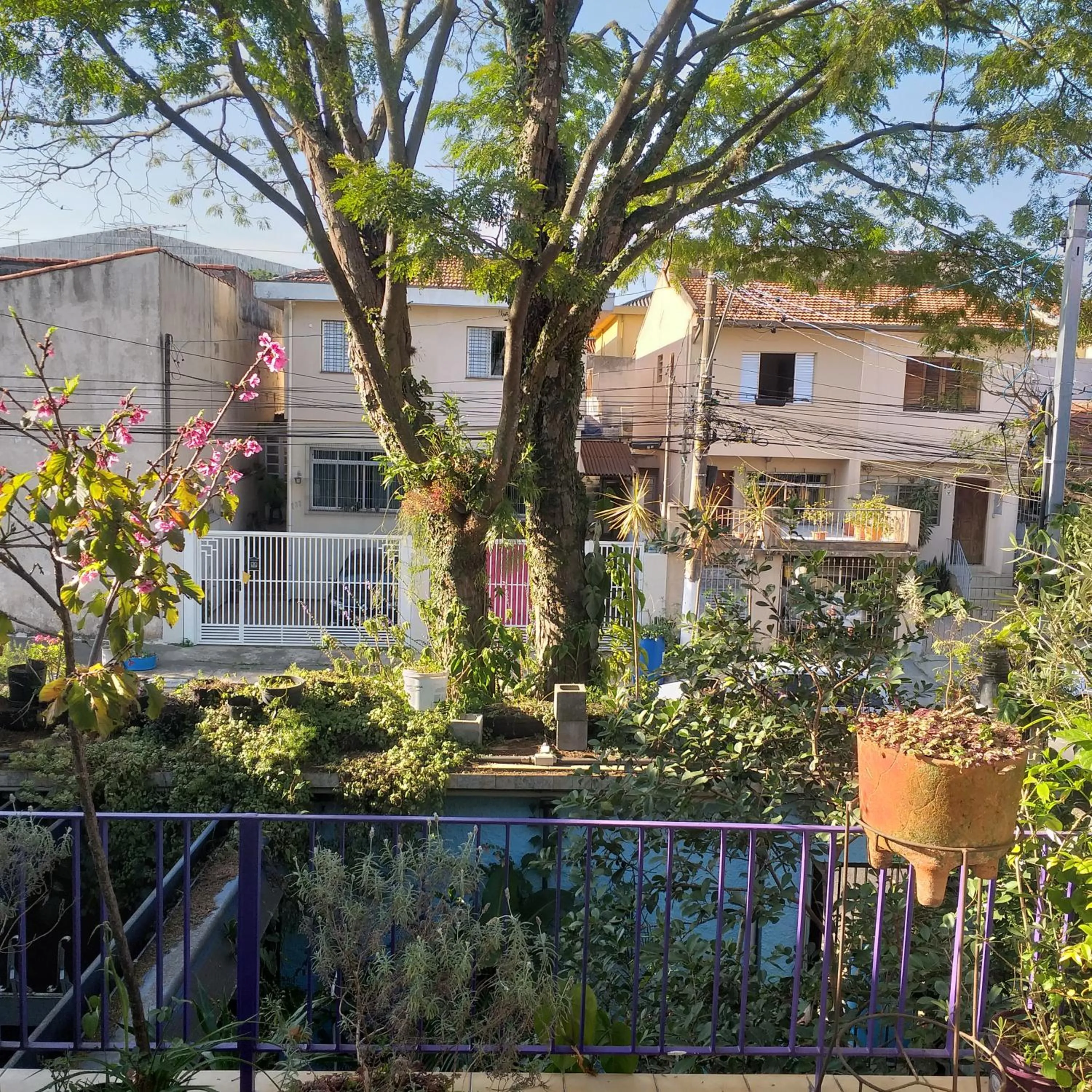 Micasa Hostel - Congonhas