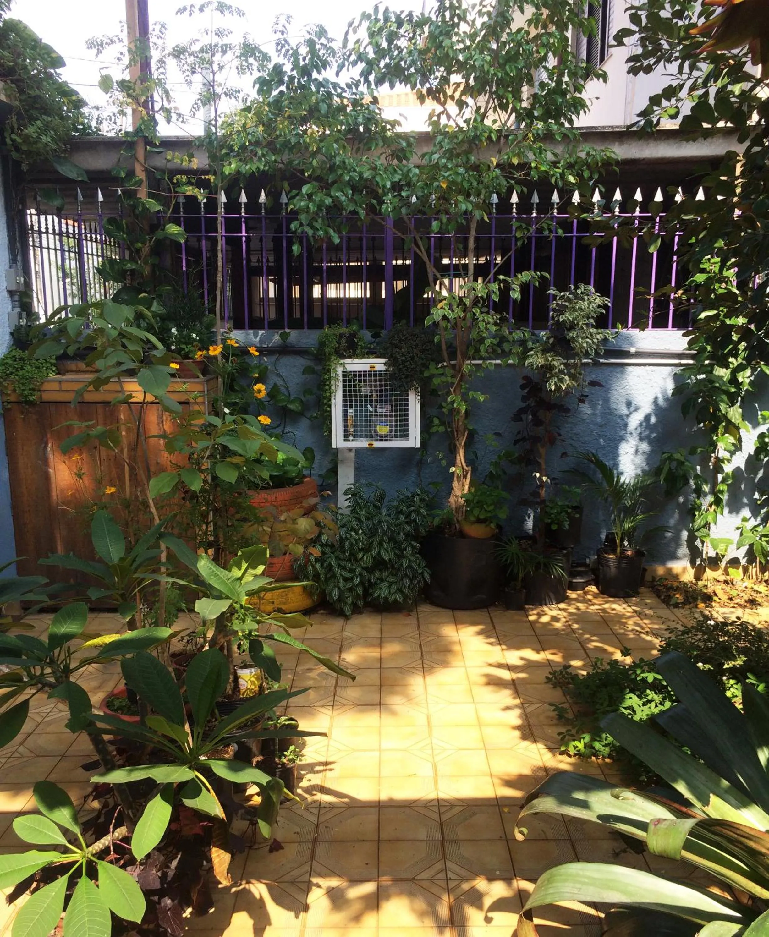 Garden in Micasa Hostel - Congonhas