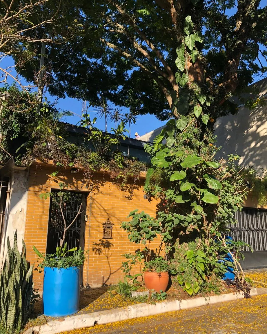 Micasa Hostel - Congonhas