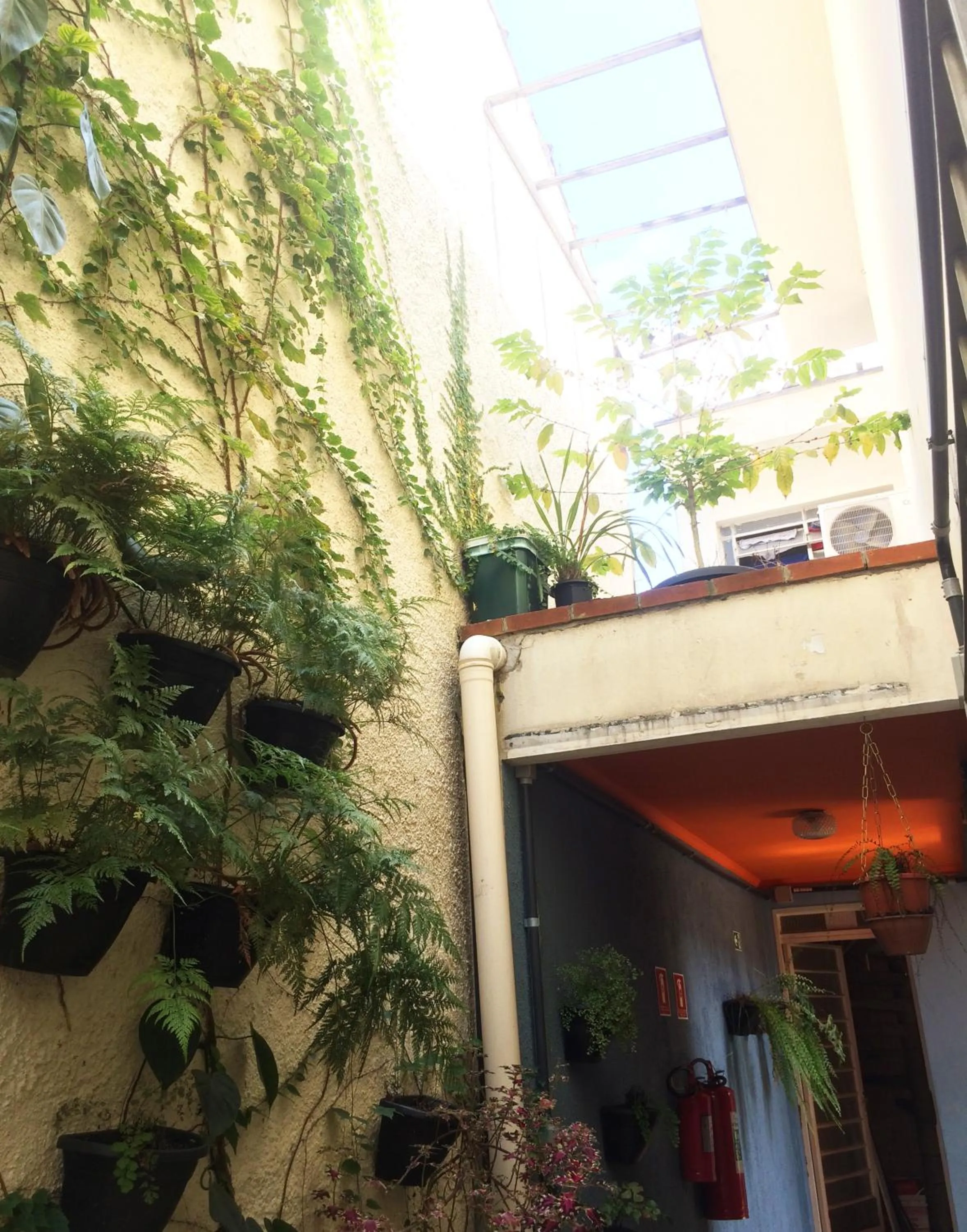 Garden in Micasa Hostel - Congonhas
