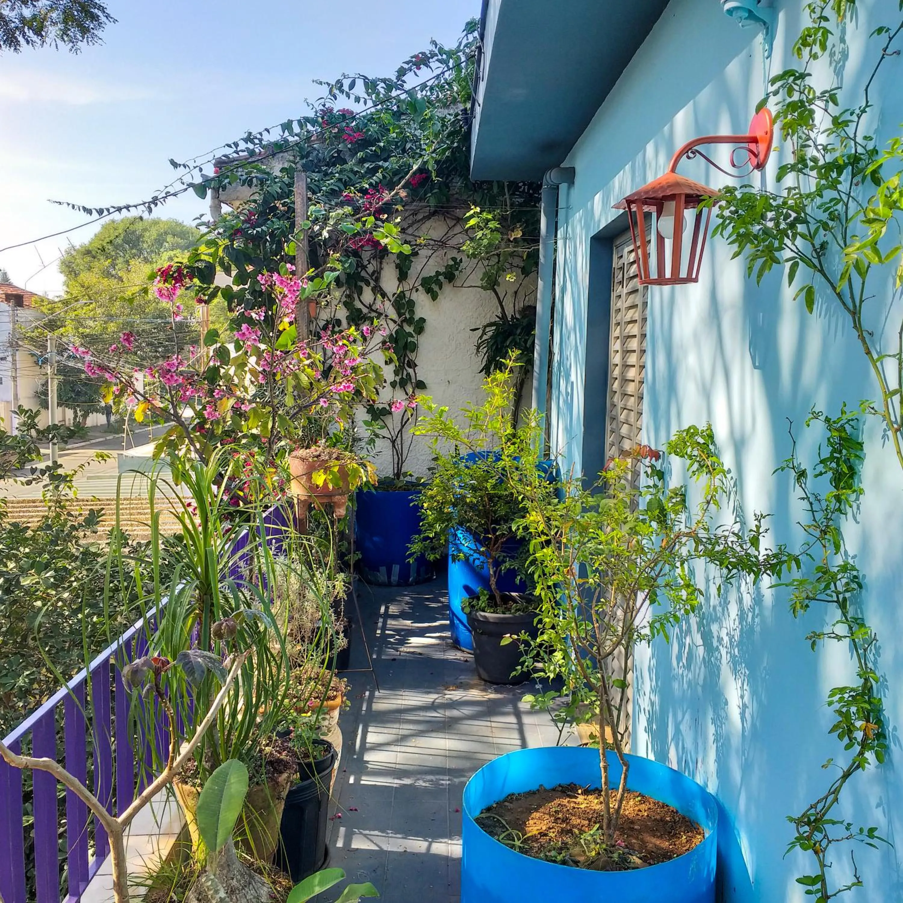 Micasa Hostel - Congonhas
