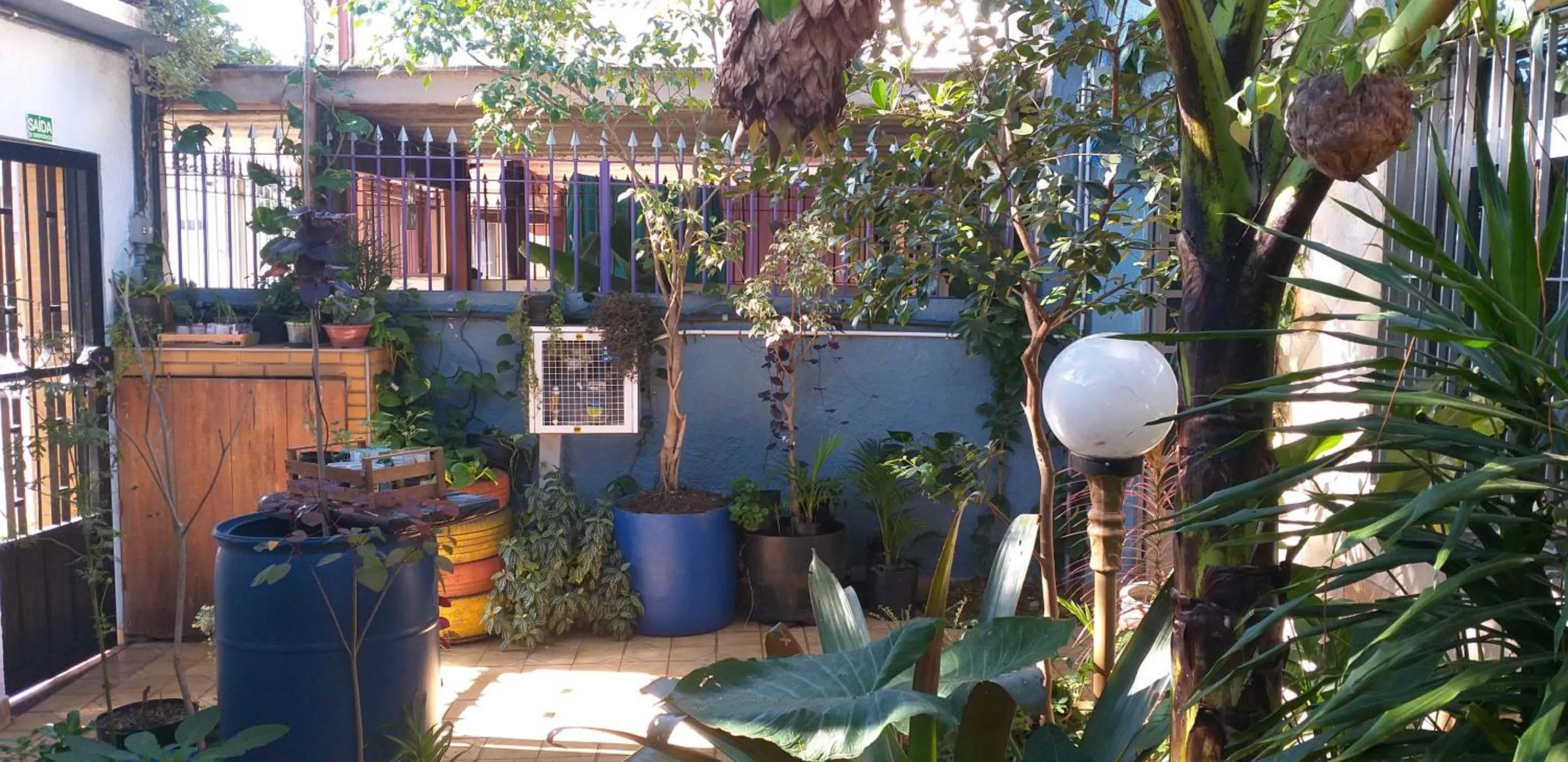 Garden in Micasa Hostel - Congonhas