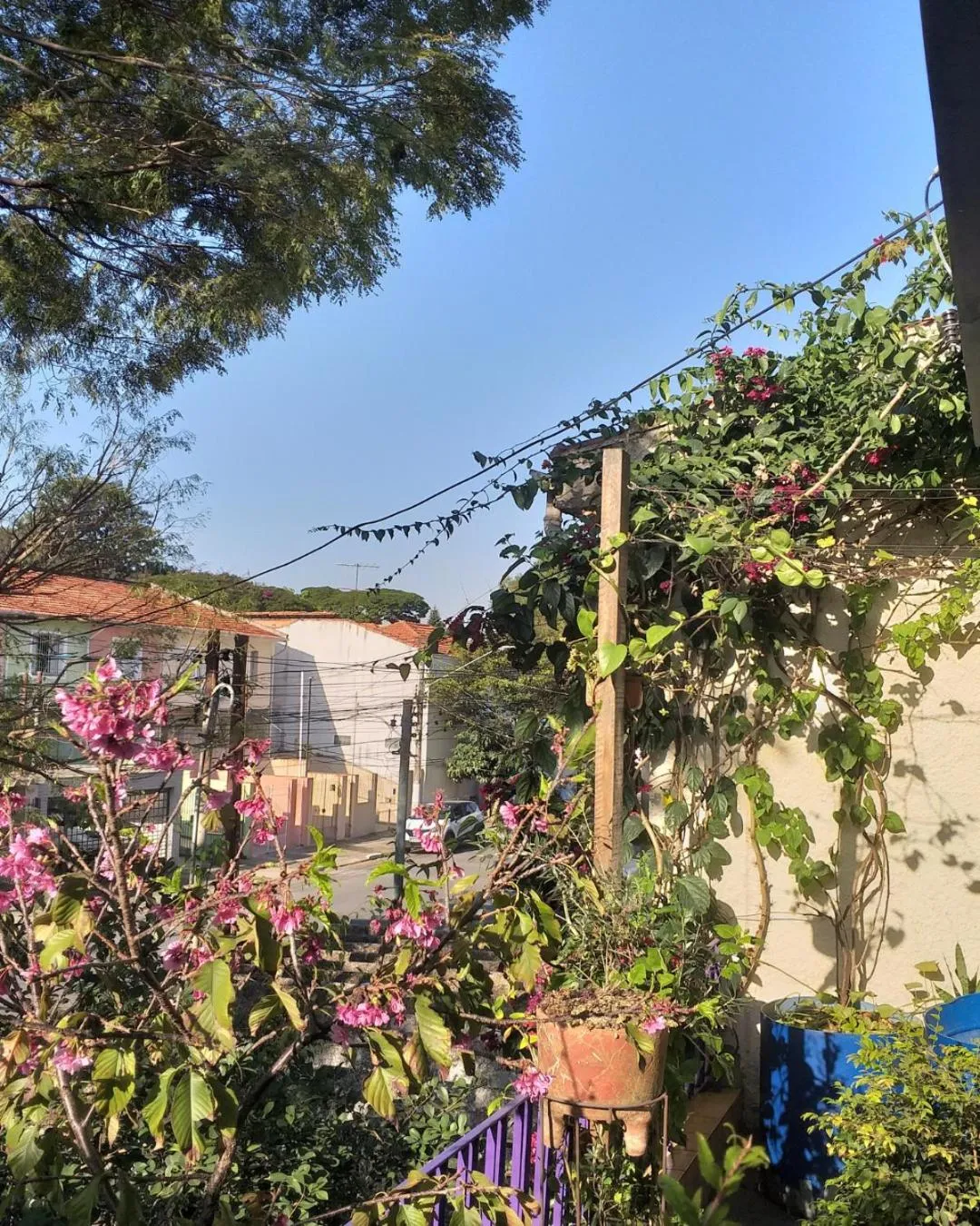 Micasa Hostel - Congonhas