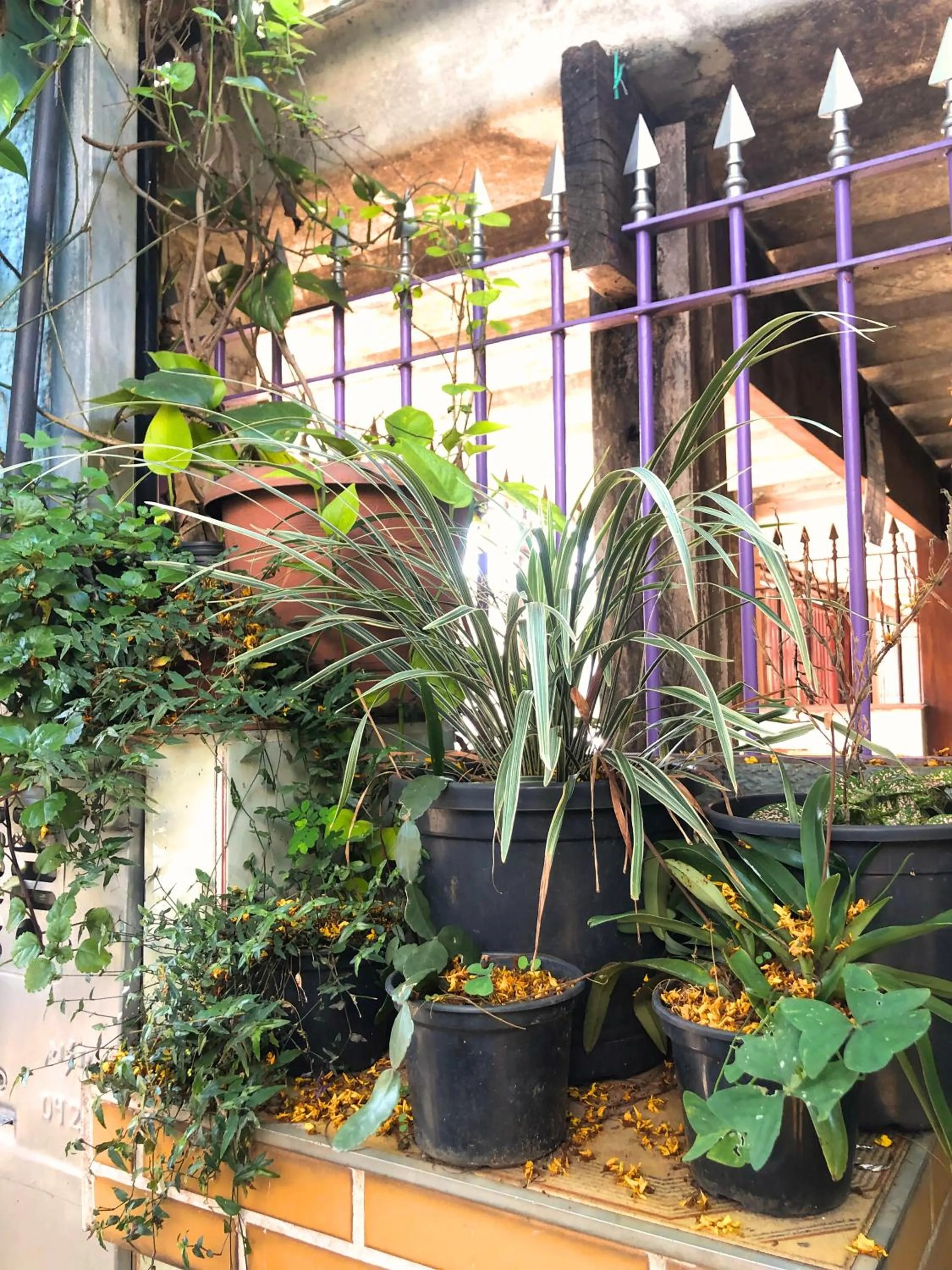 Micasa Hostel - Congonhas