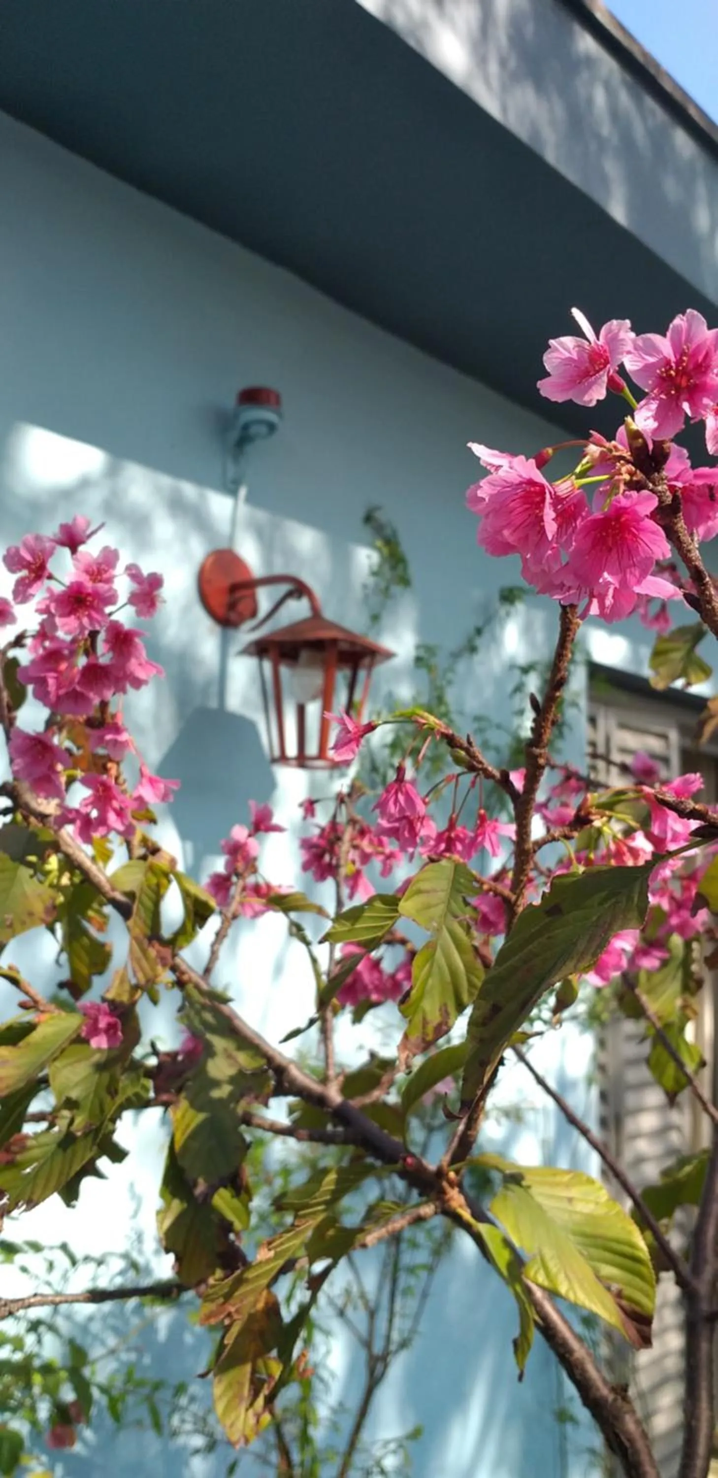 Micasa Hostel - Congonhas