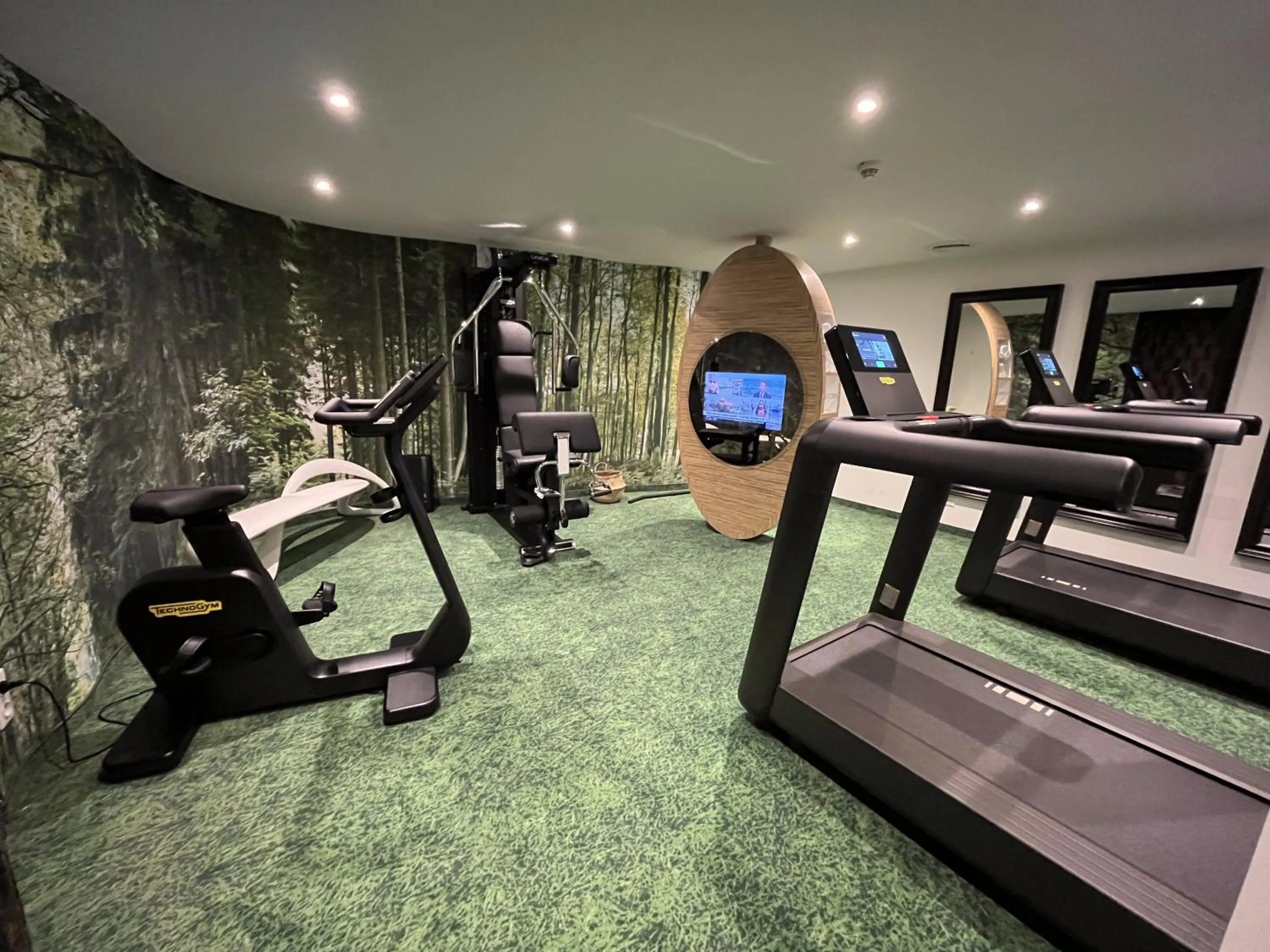 Fitness centre/facilities in Mercure Strasbourg Centre Petite France