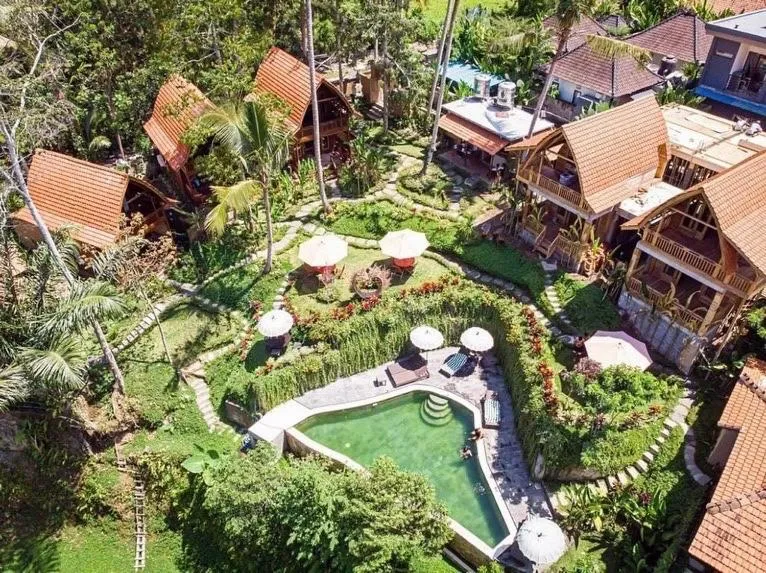 The Jungle Villa Family