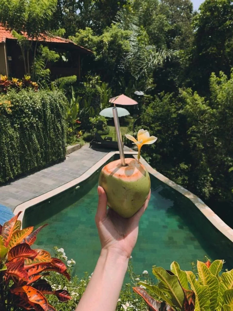 The Jungle Villa Family