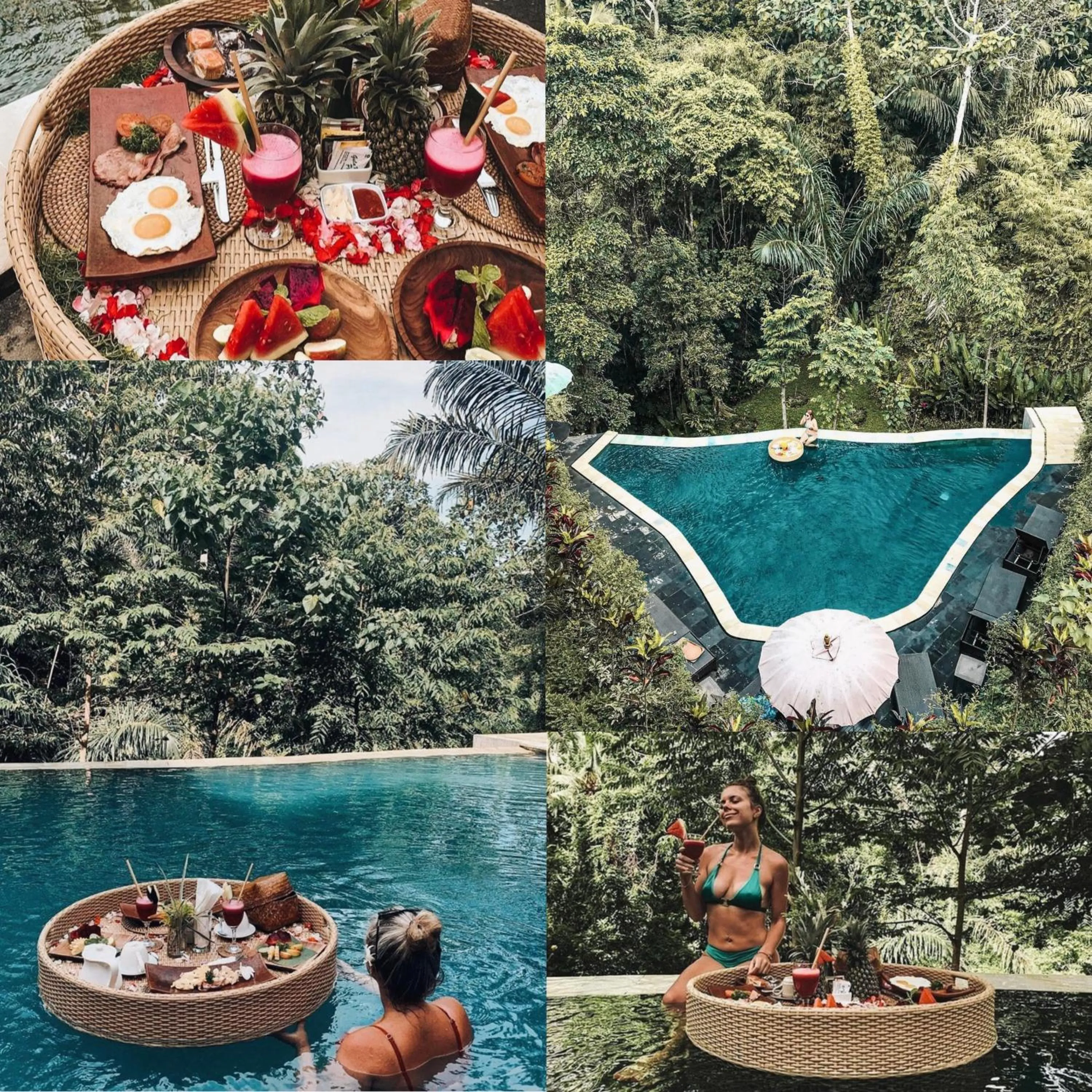 The Jungle Villa Family