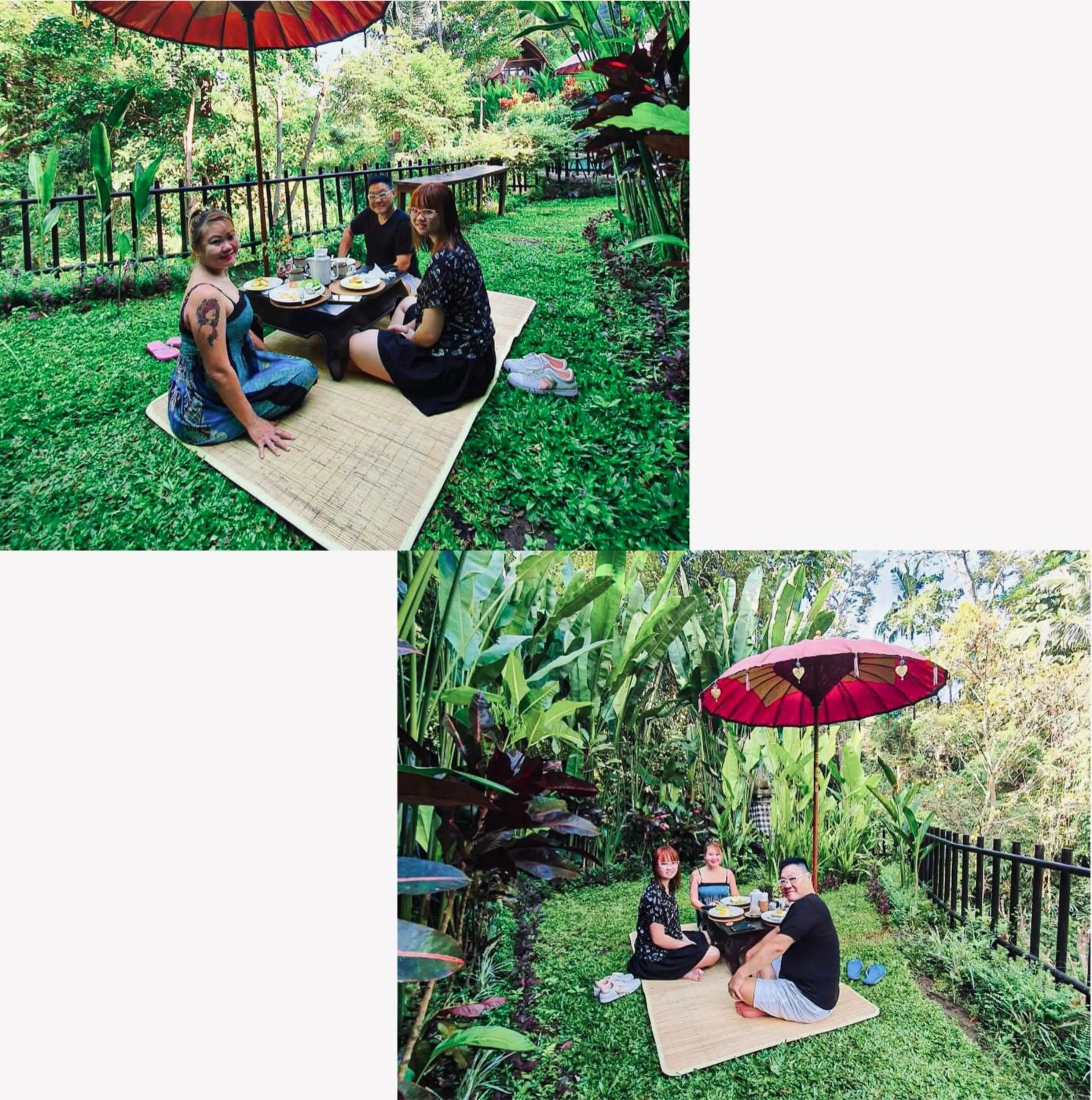 The Jungle Villa Family