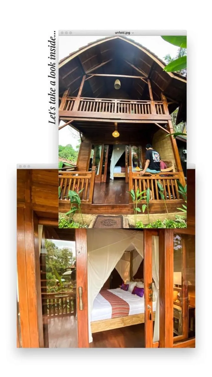 The Jungle Villa Family