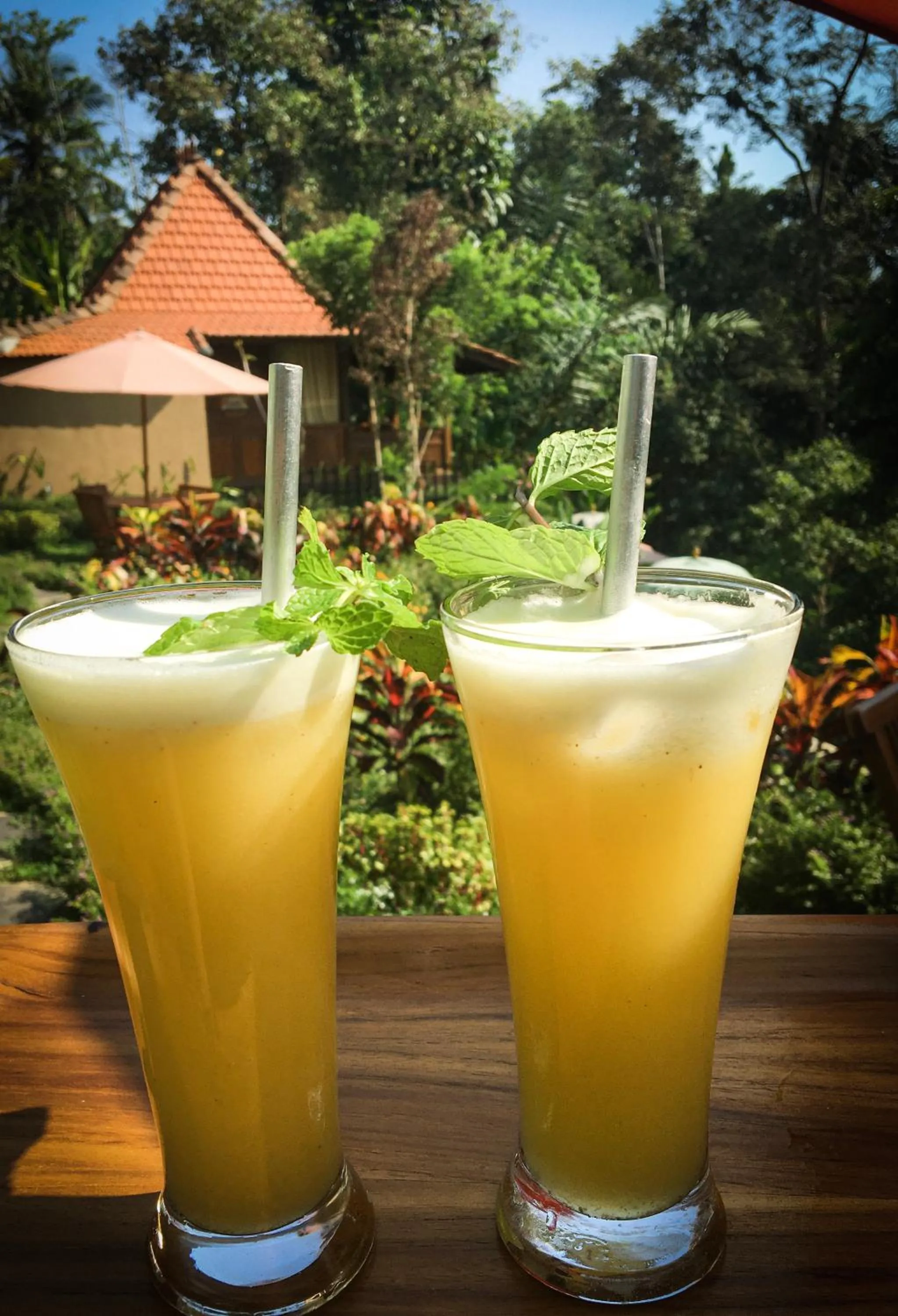 The Jungle Villa Family