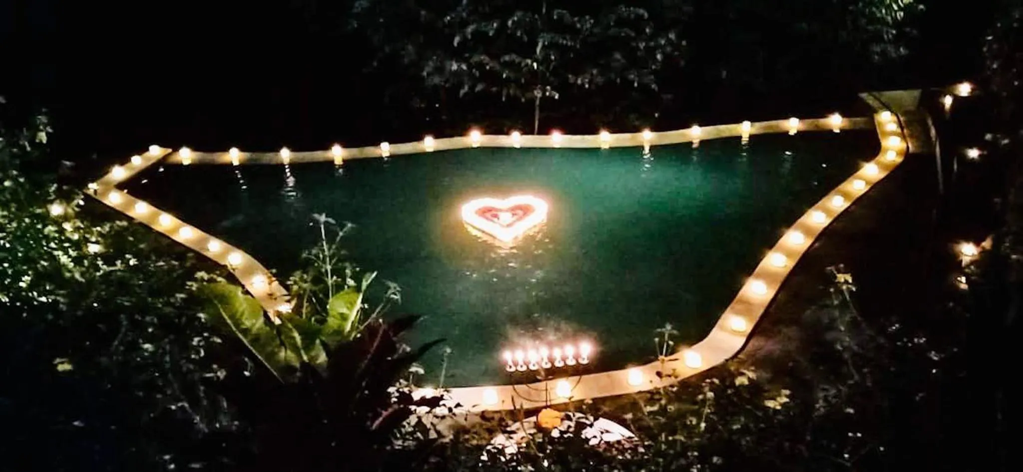 The Jungle Villa Family