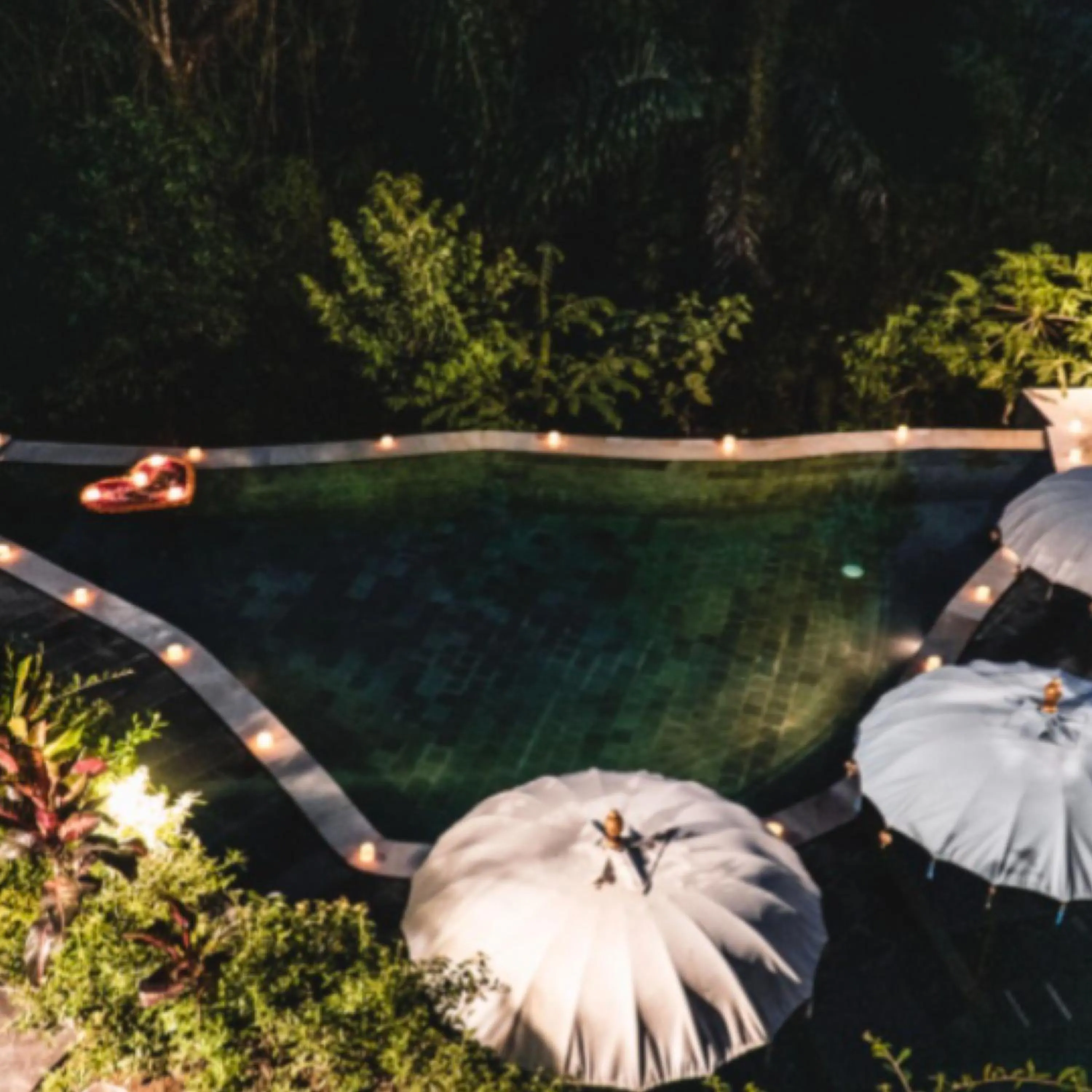 The Jungle Villa Family