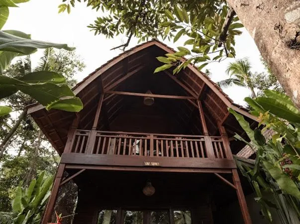 The Jungle Villa Family