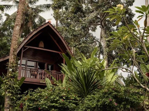 The Jungle Villa Family