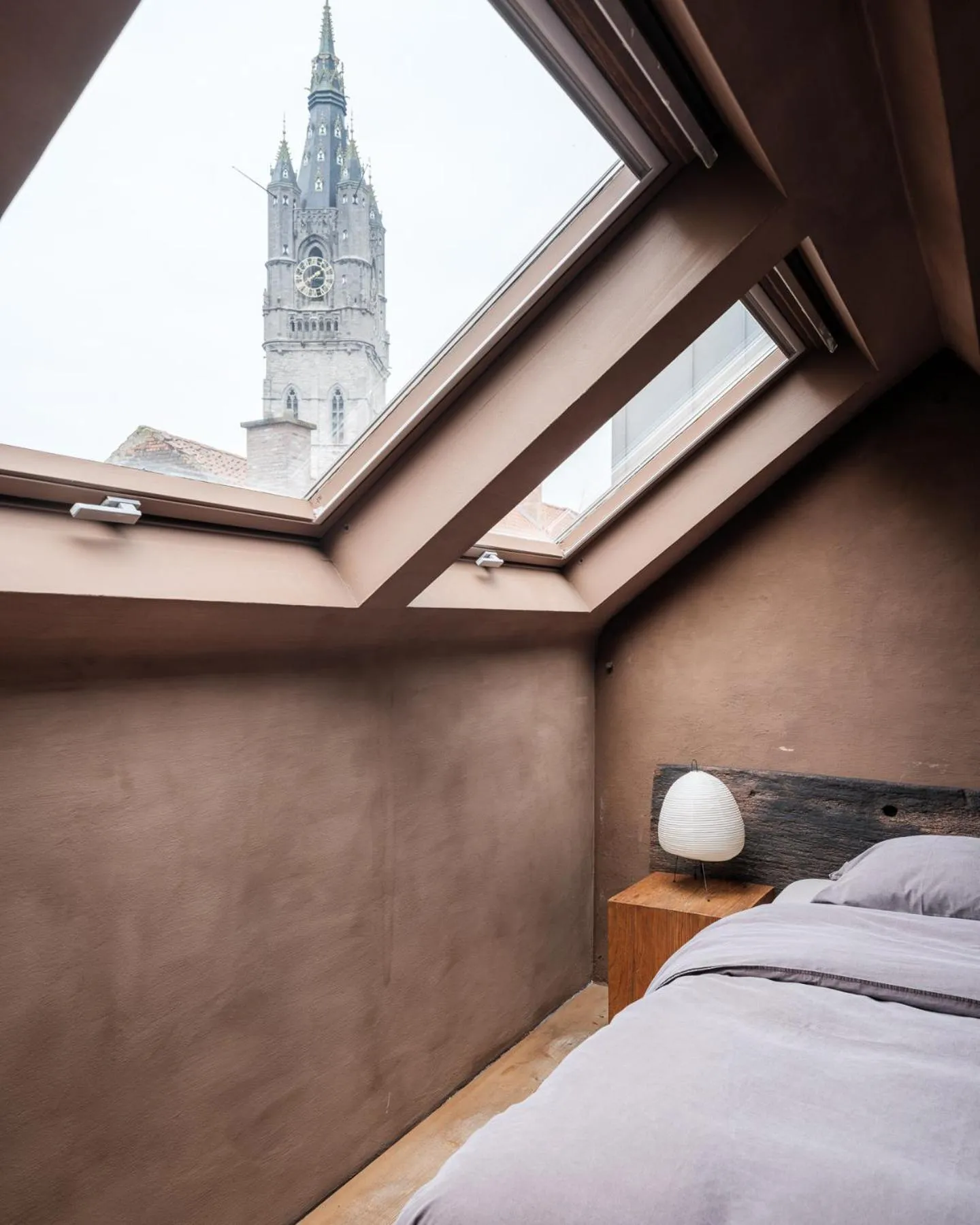 Shelter 7