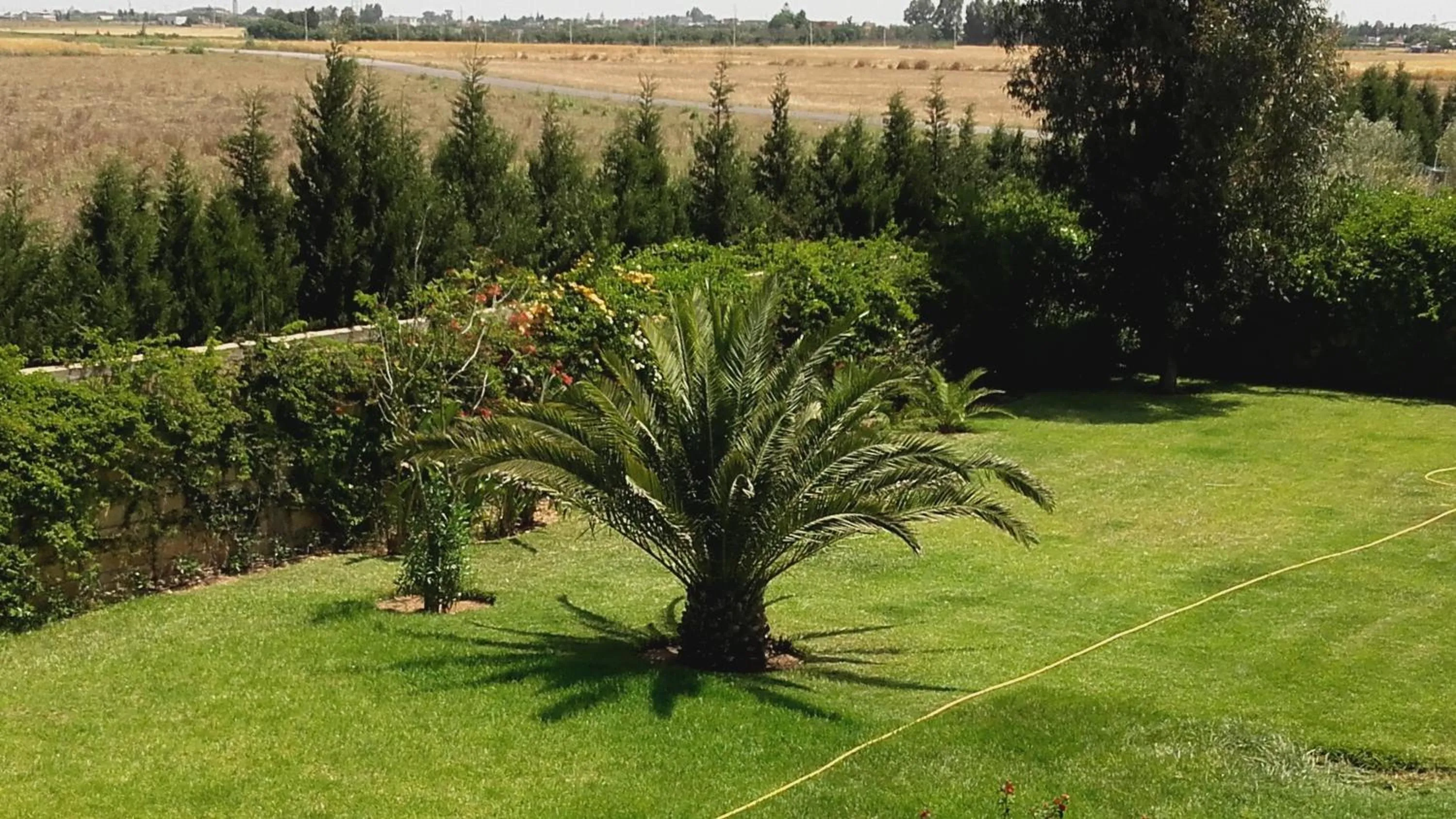 View (from property/room) in Riad TANJIL